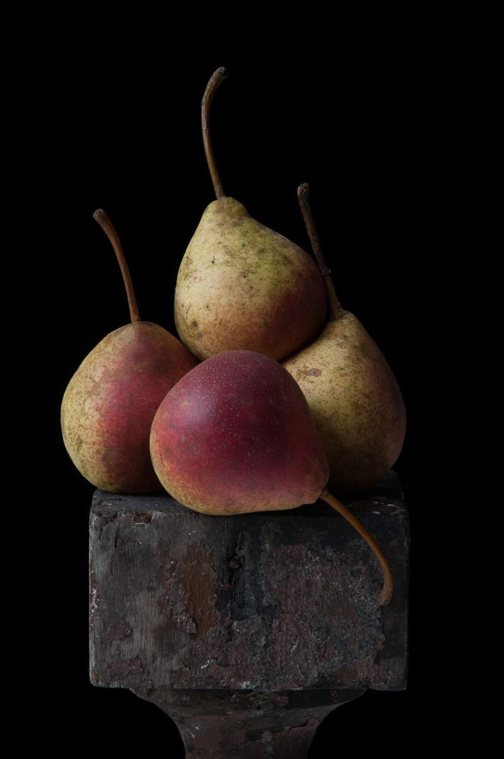 Summer Crisp Pears by Lynn Karlin