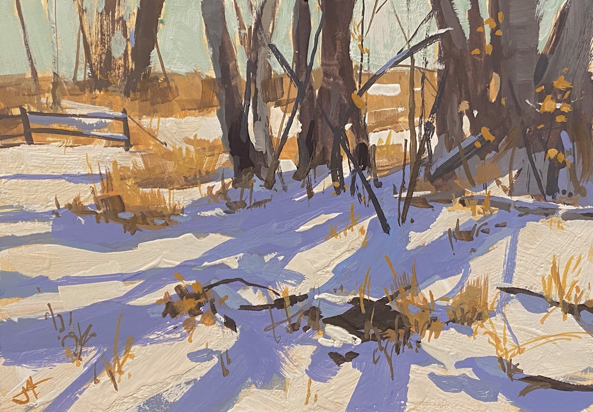 Snow Shadows by Judd Mercer