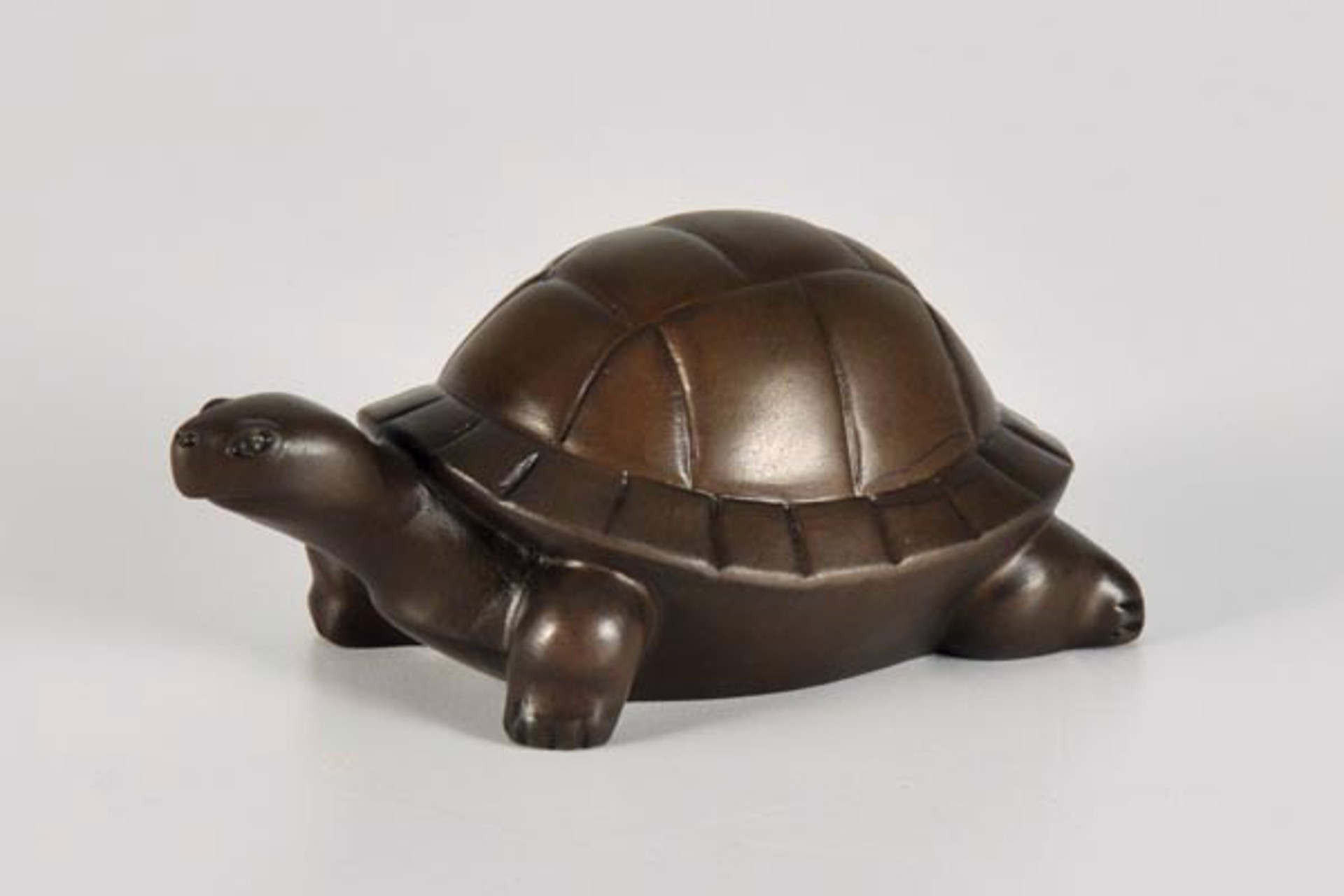 Box Turtle by David Everett