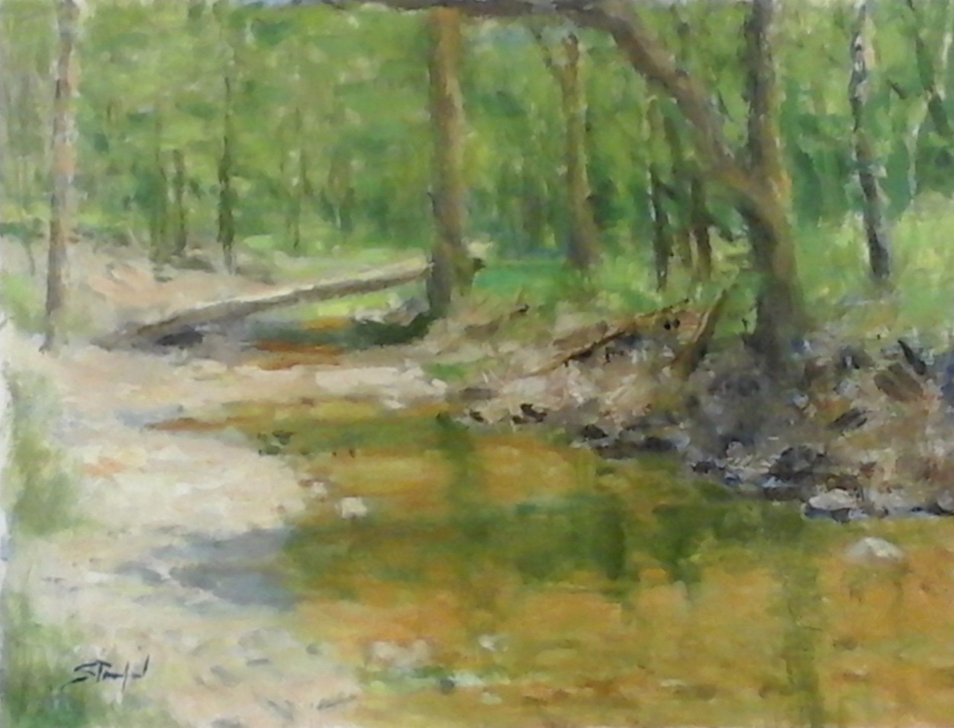 Bonny Brook by John Stanford