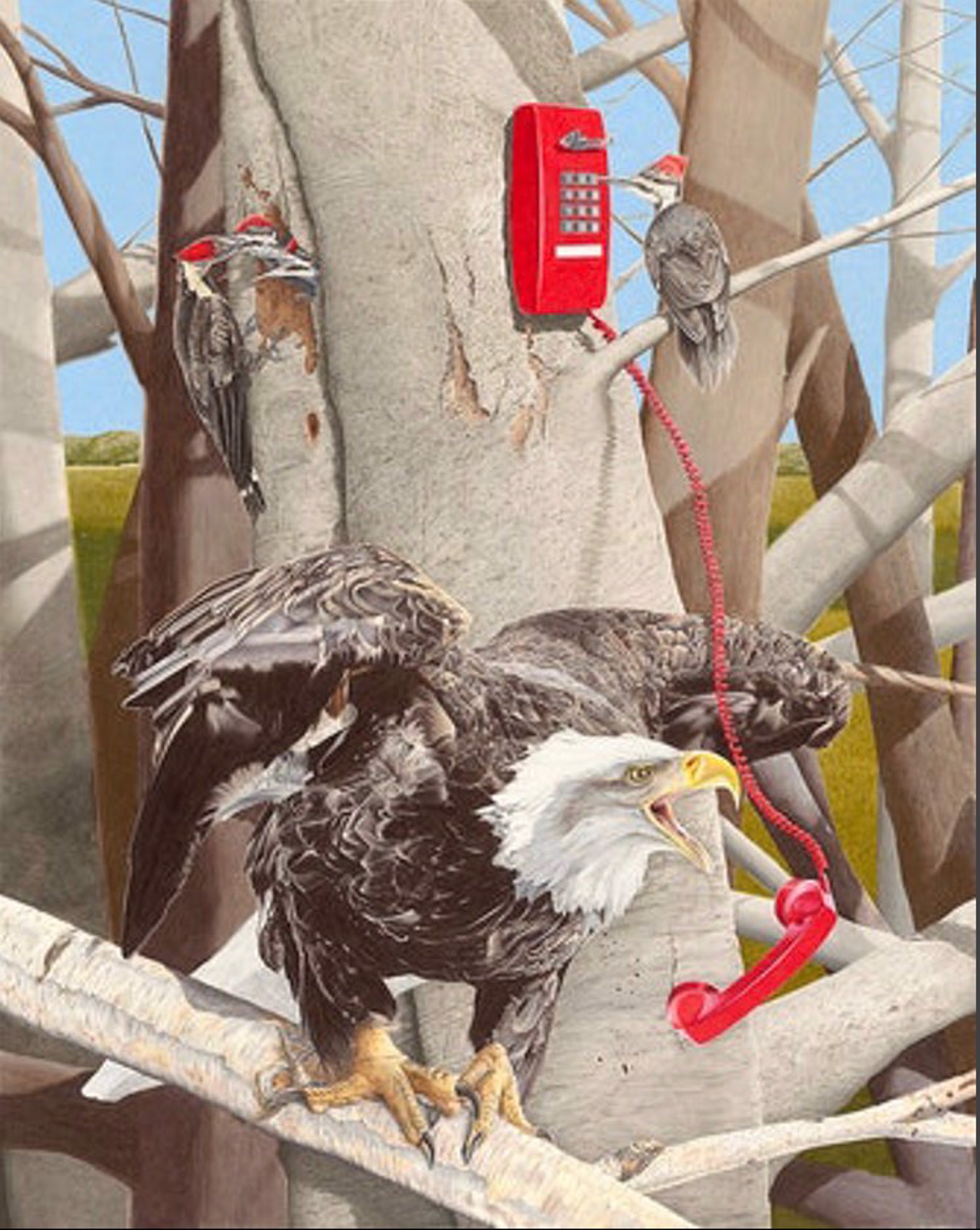 Four Calling Birds 1 - Eagle 3/4 Size Unframed Print by Paul Van Heest