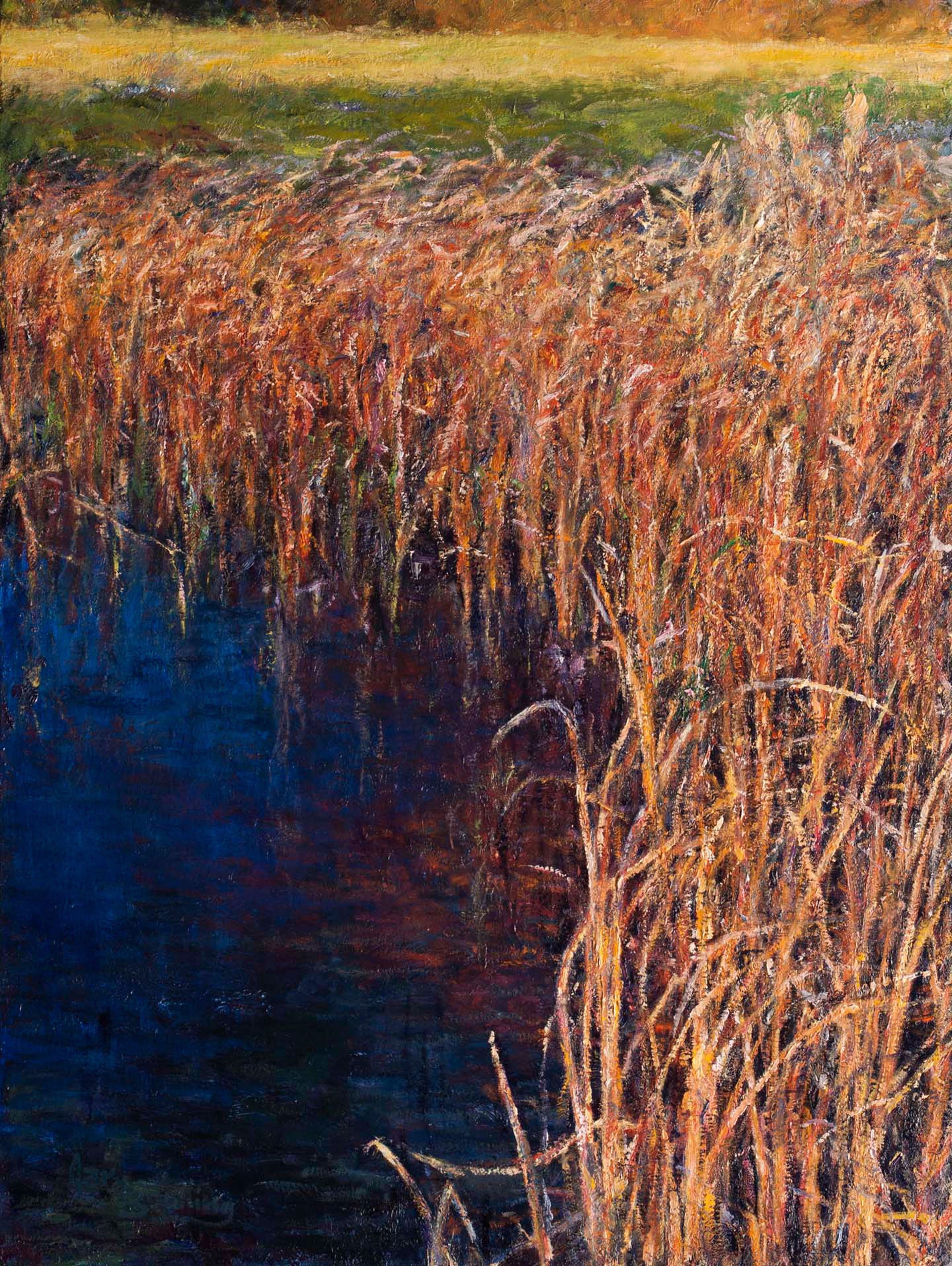 Dry Reeds Temper Cold Water by Gary Bowling