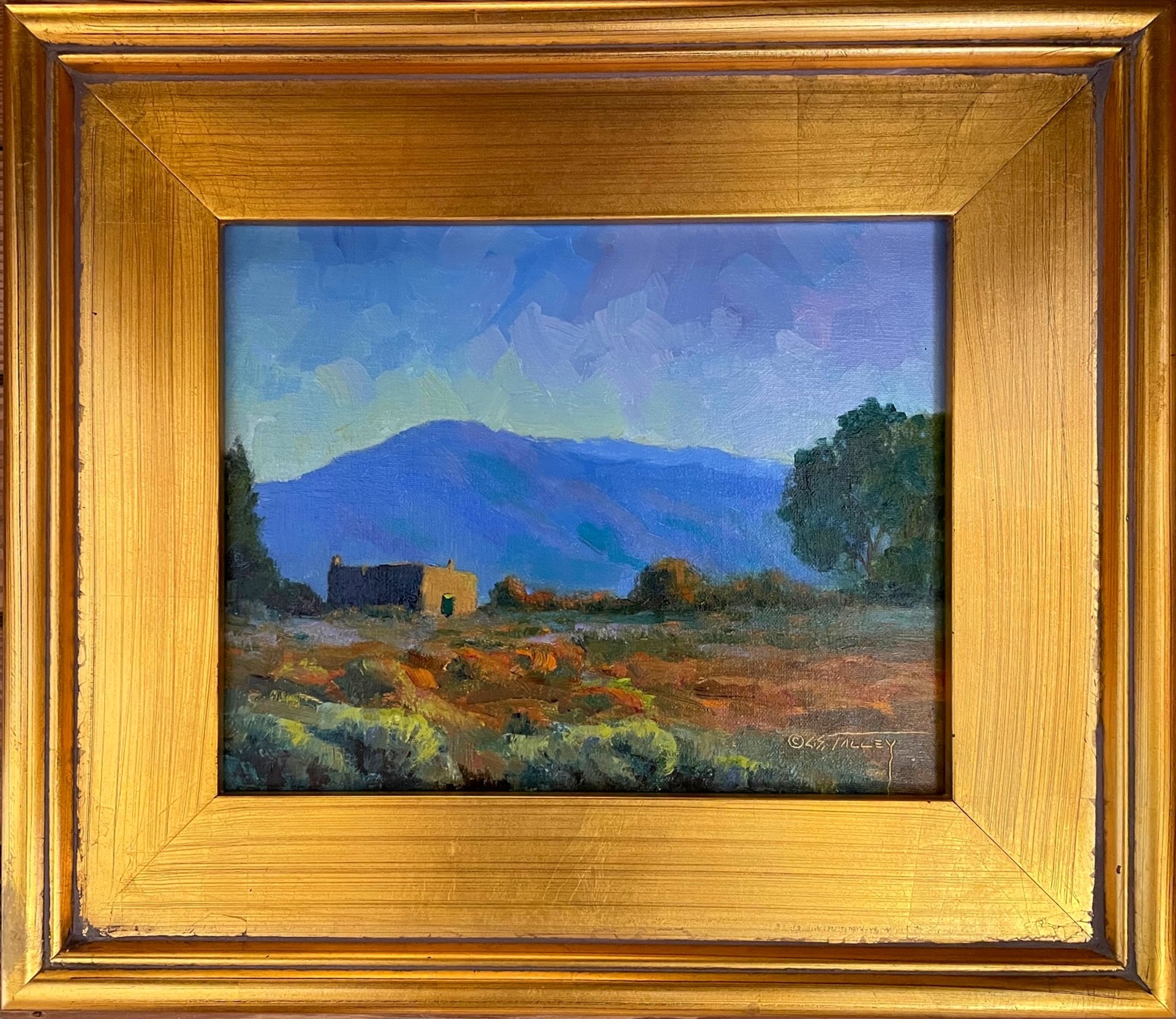 New Mexico Morning by C. S. Talley