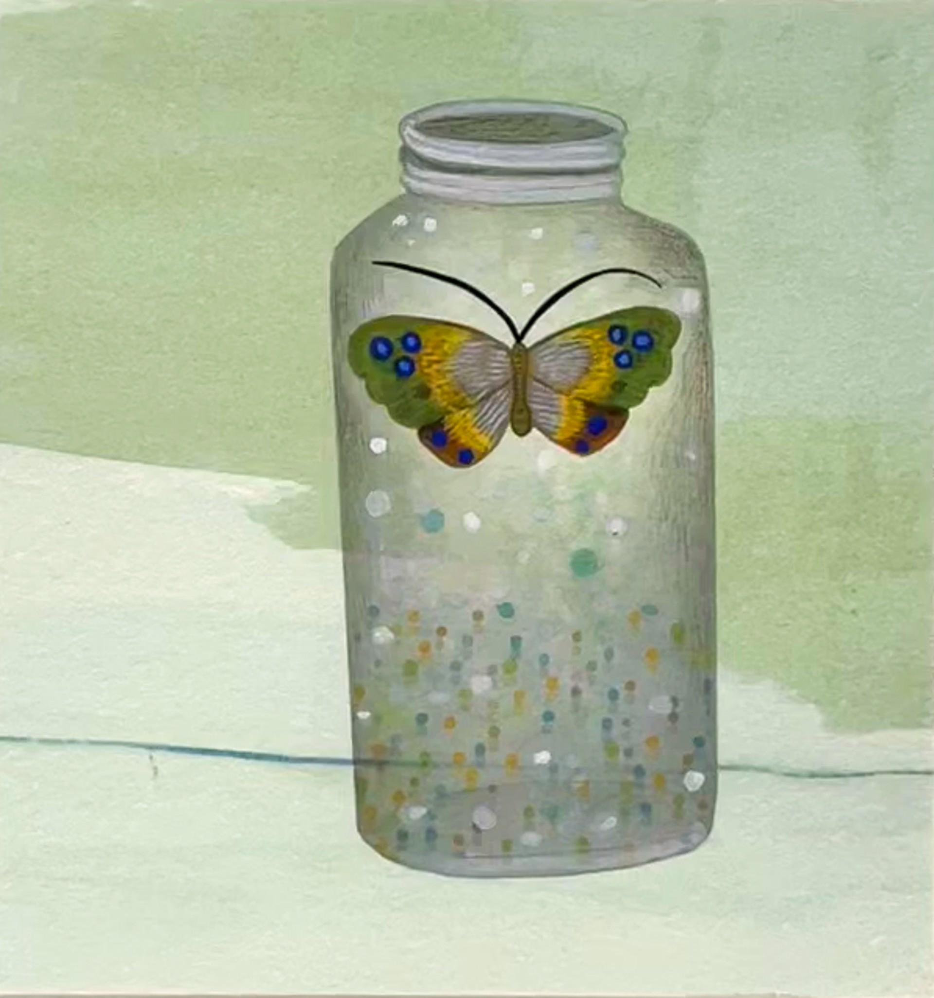 Butterfly Jar by Anne Smith