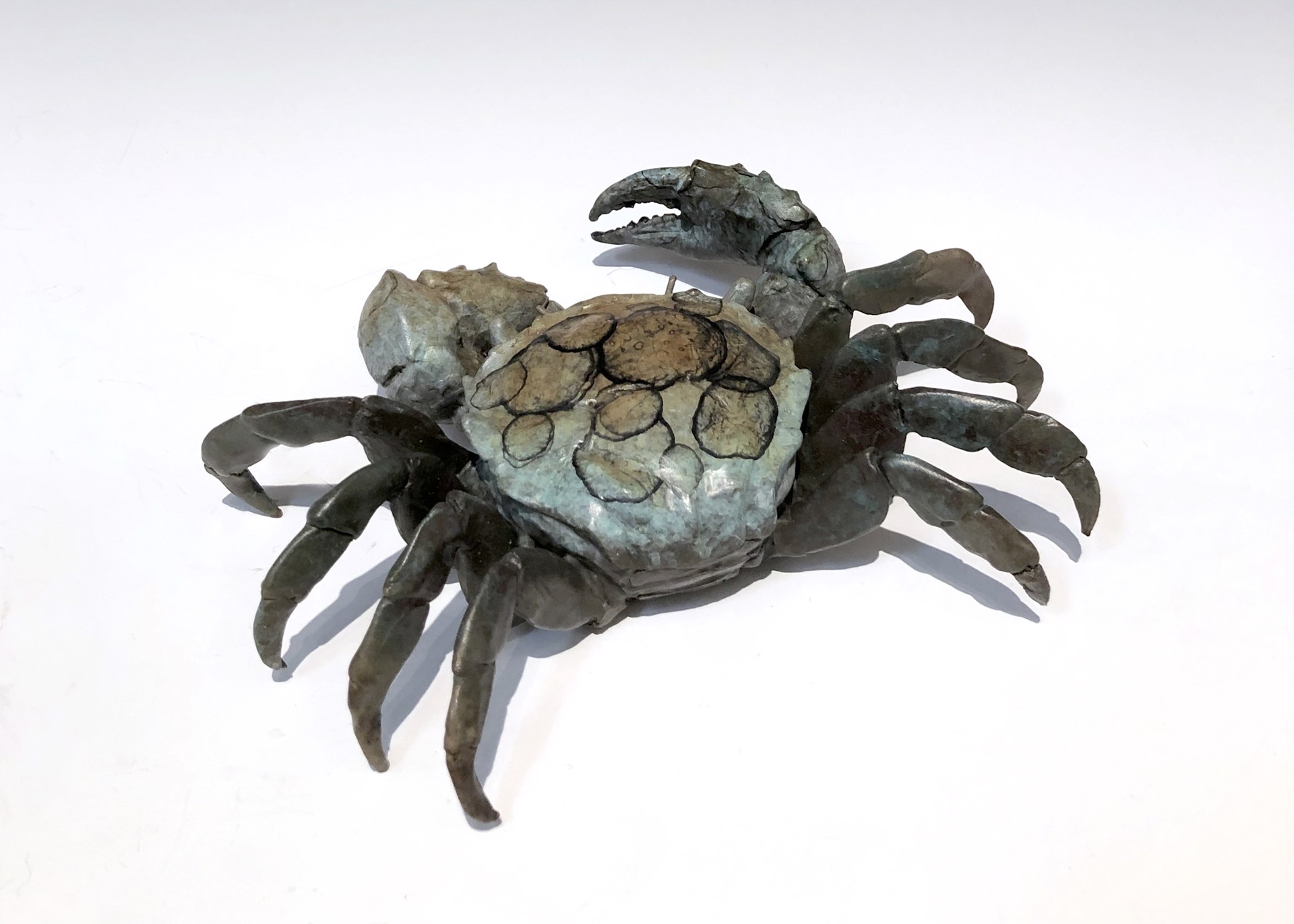 Brown Crab Large by Dan Chen