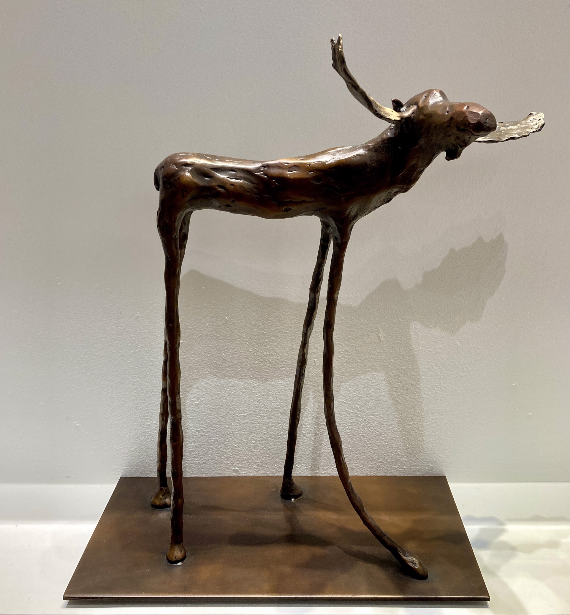 Moose by Jim Budish