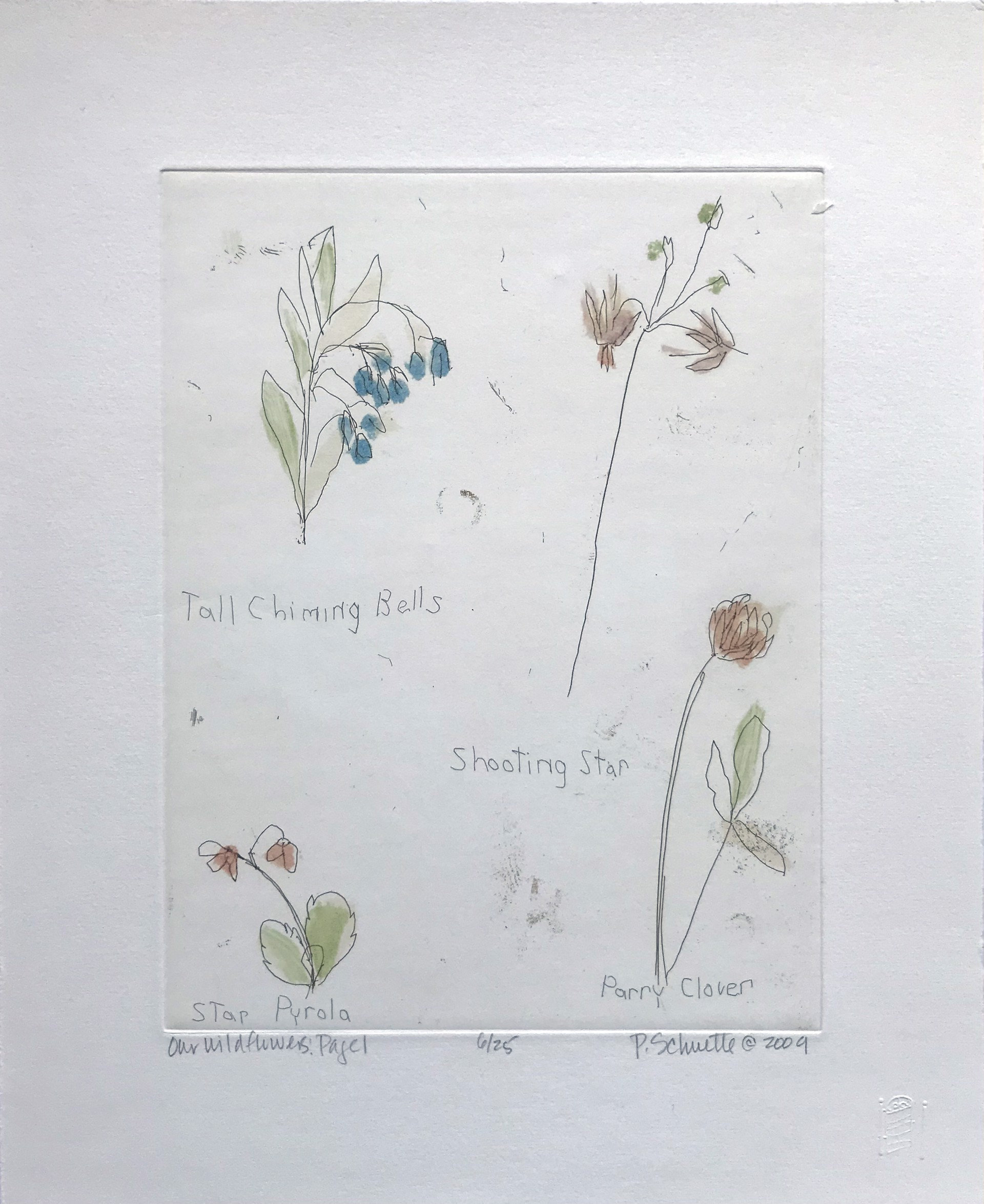 Our Wildflowers - Page 1 by Paula Schuette Kraemer