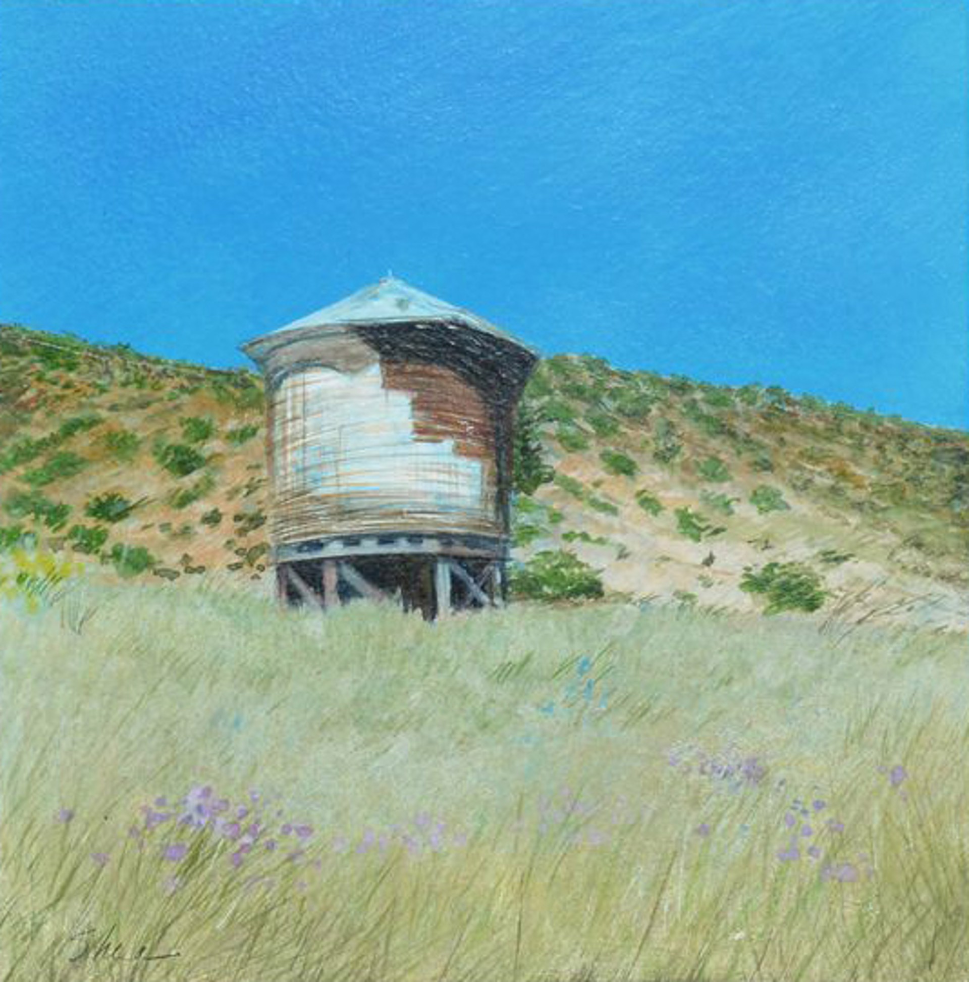 Chile Line Water Tower by Jane Shea