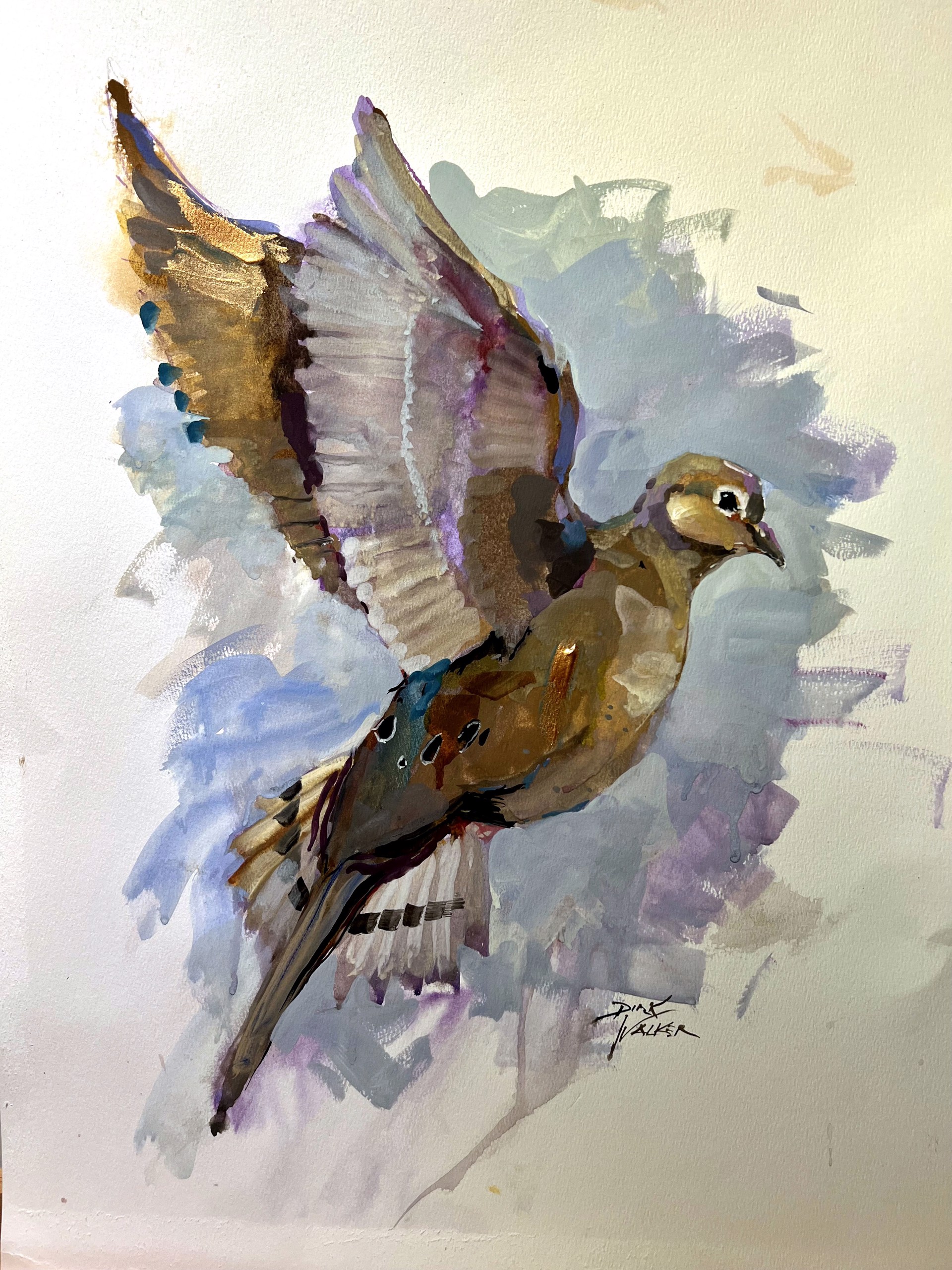 Soaring High - Mourning Dove by Dirk Walker