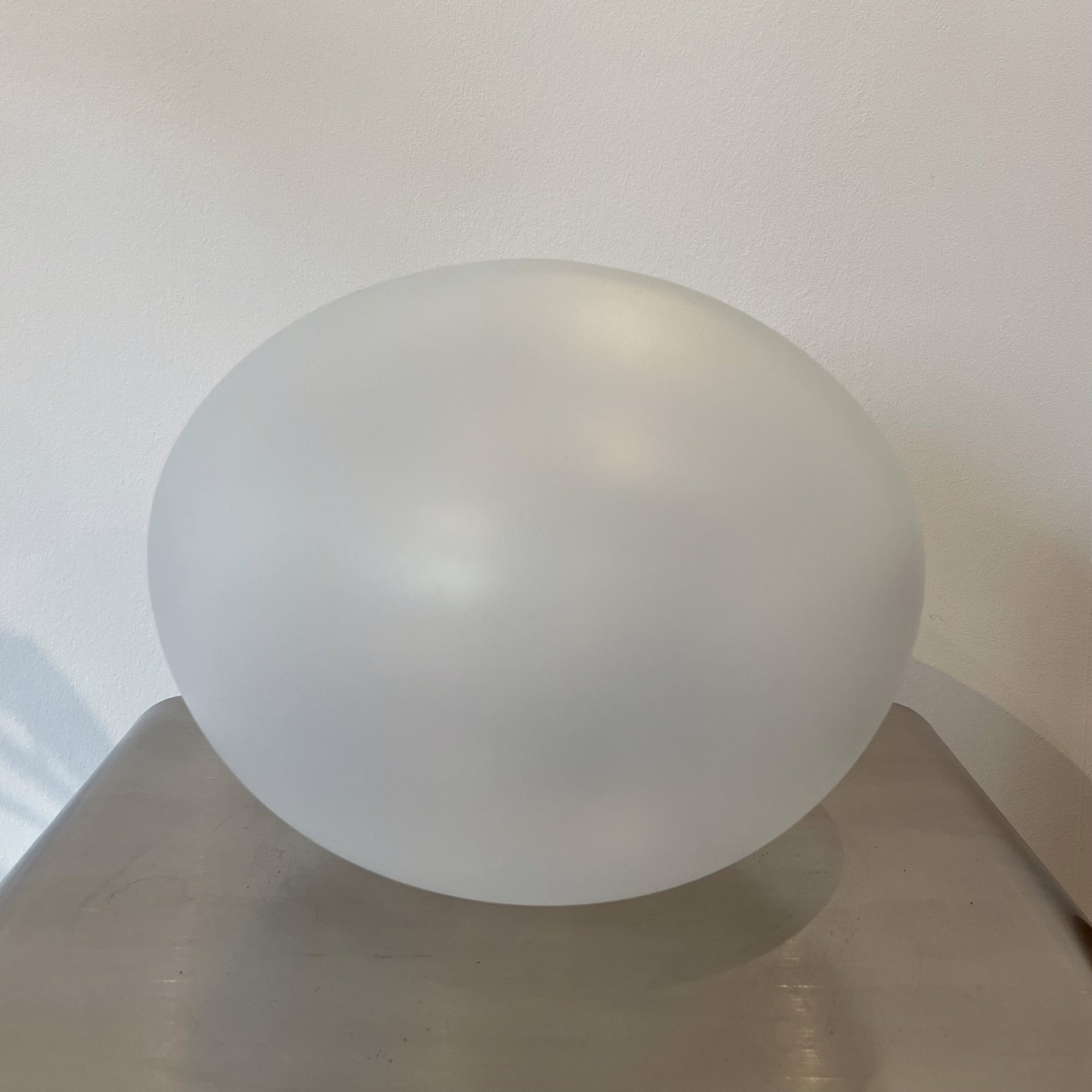 Large White Egg by John Geci