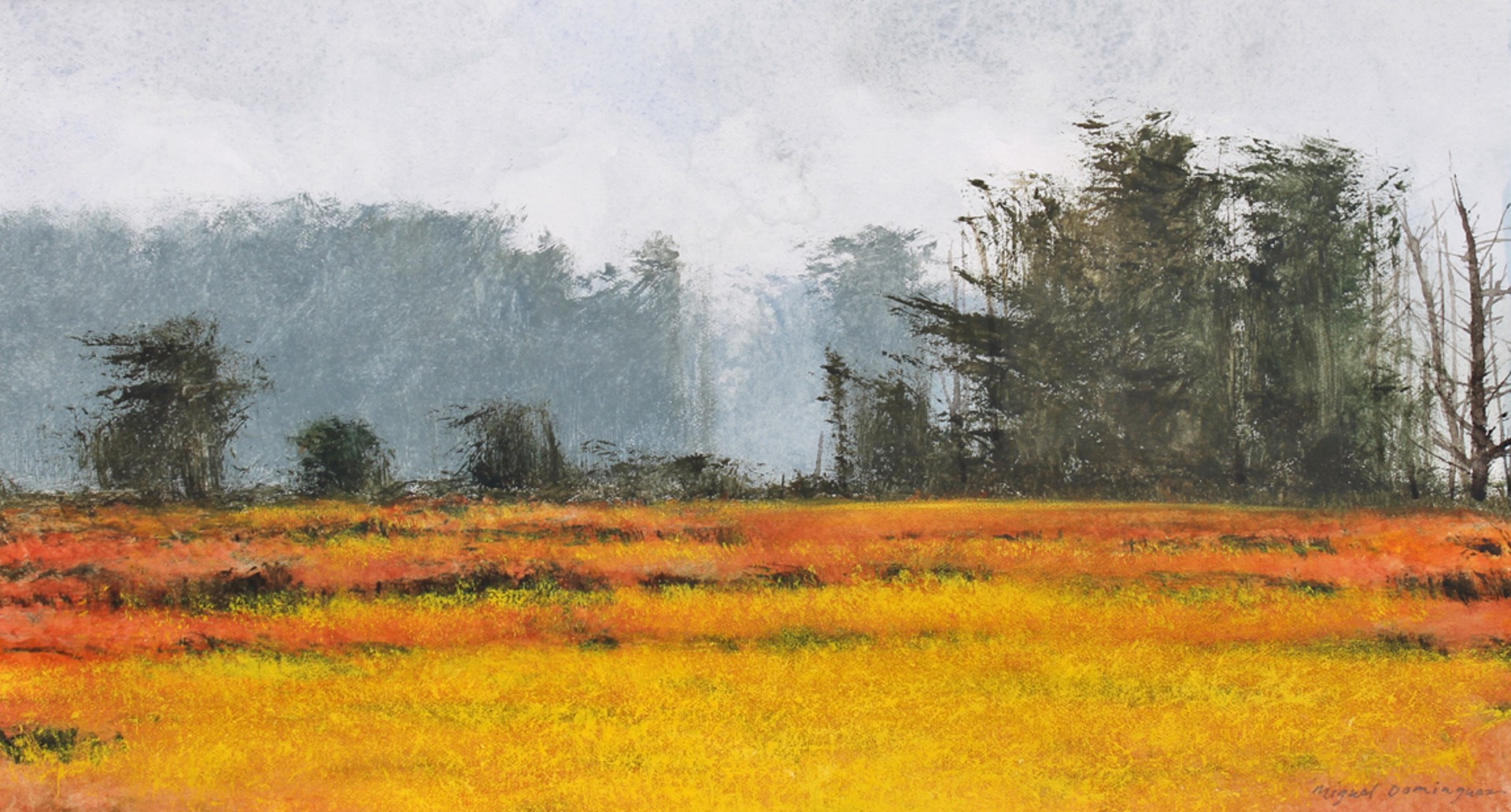 Poppy Meadow by Miguel Dominguez