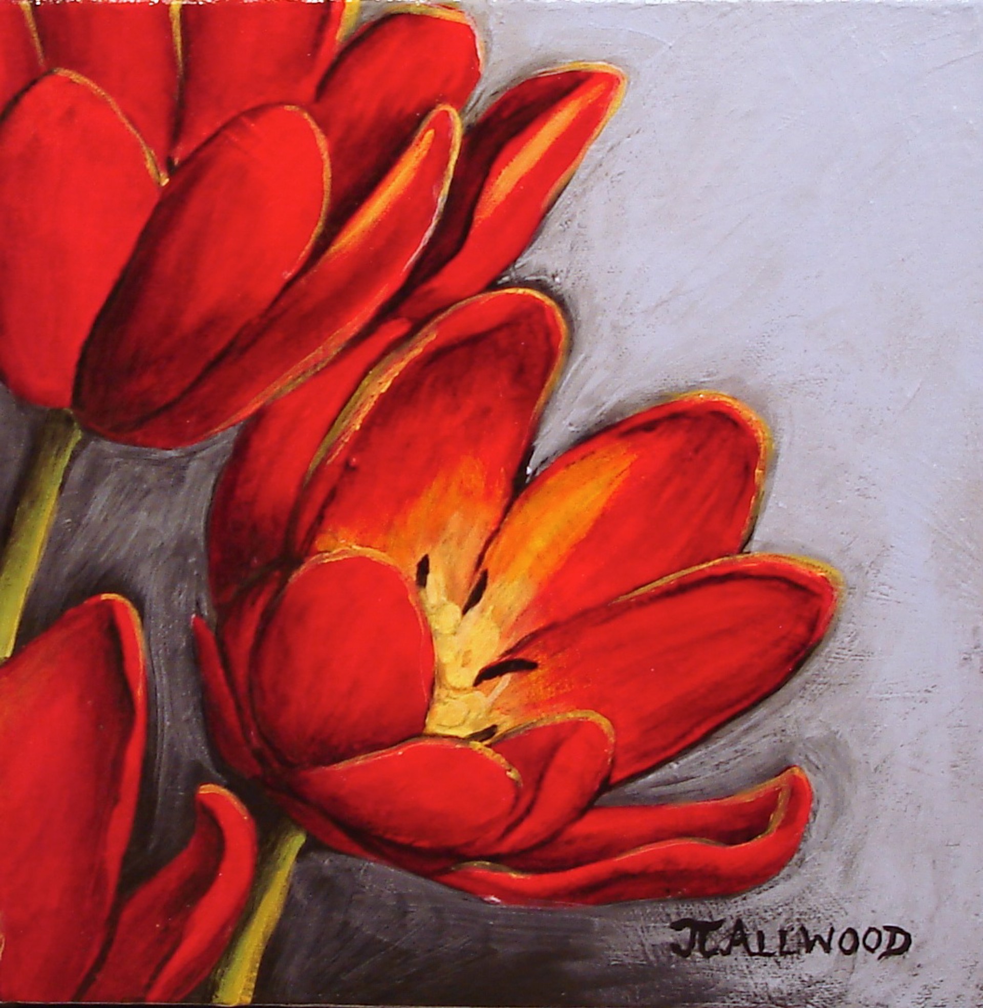 Winter Tulips by J.J Allwood