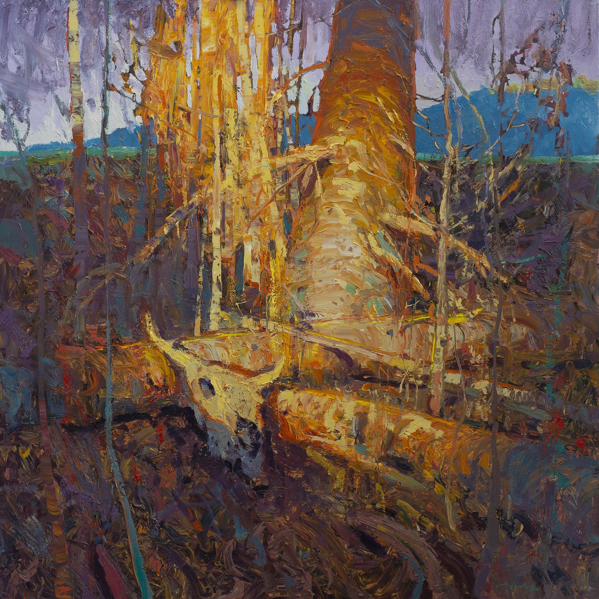 Original Oil Landscape Painting Featuring Warm Sun On aspen Trees And Skull