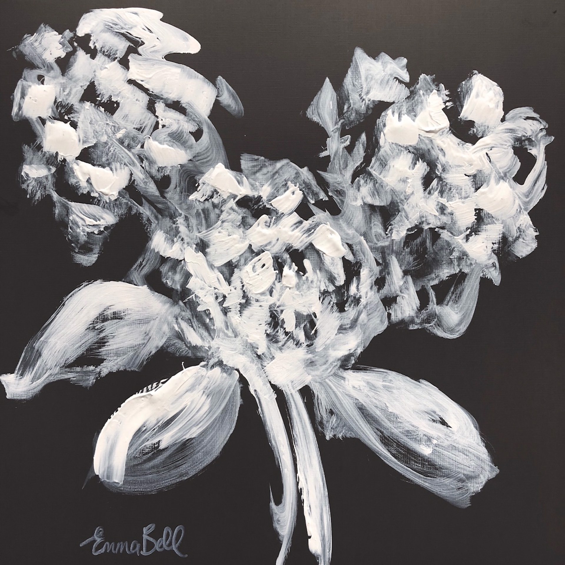 White on Charcoal 3 Hydrangeas by Emma Bell