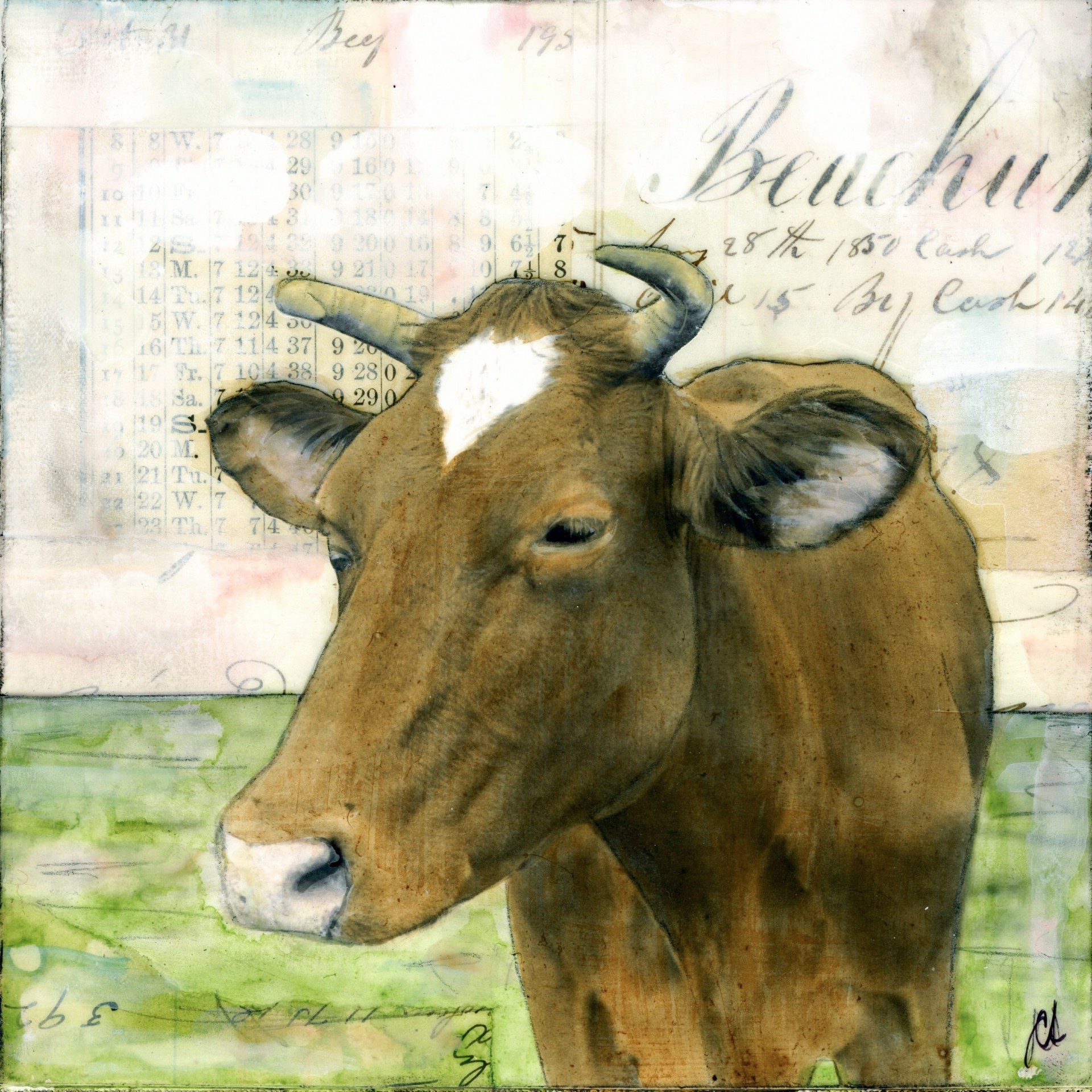 Brown Cow by JC Spock