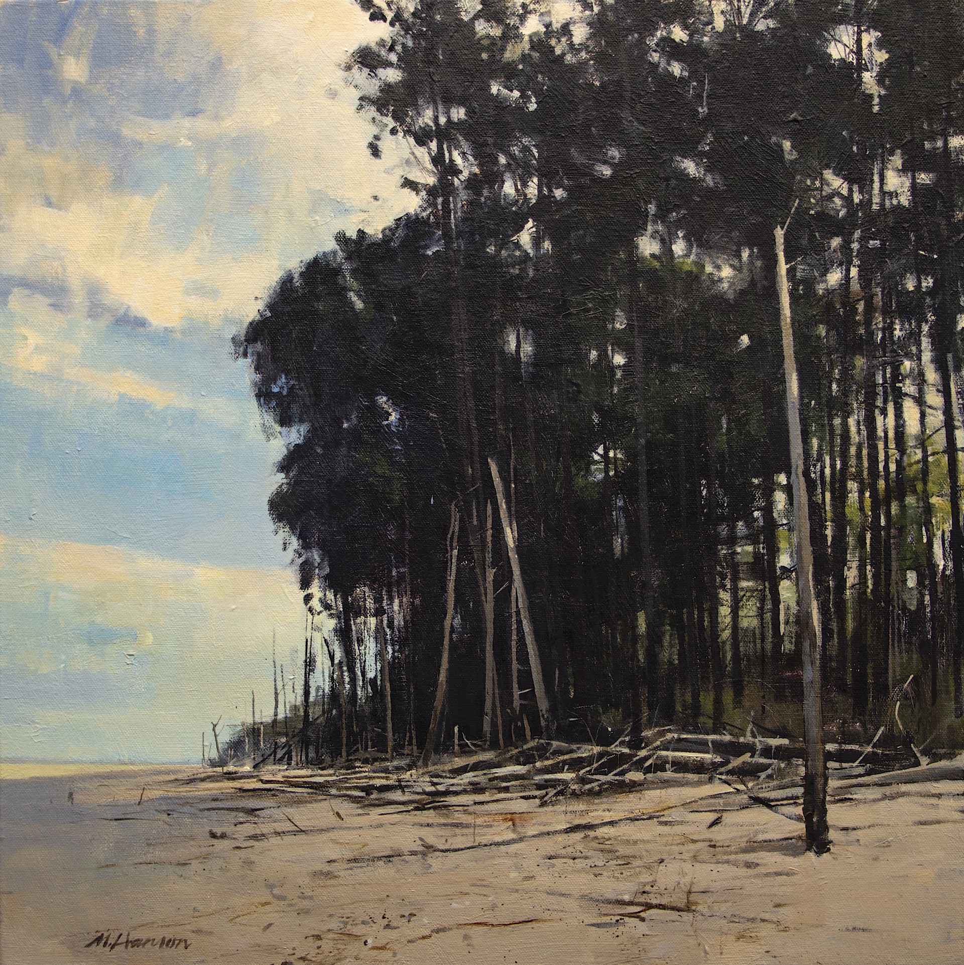 Coastal Grove by Marc Hanson, OPAM