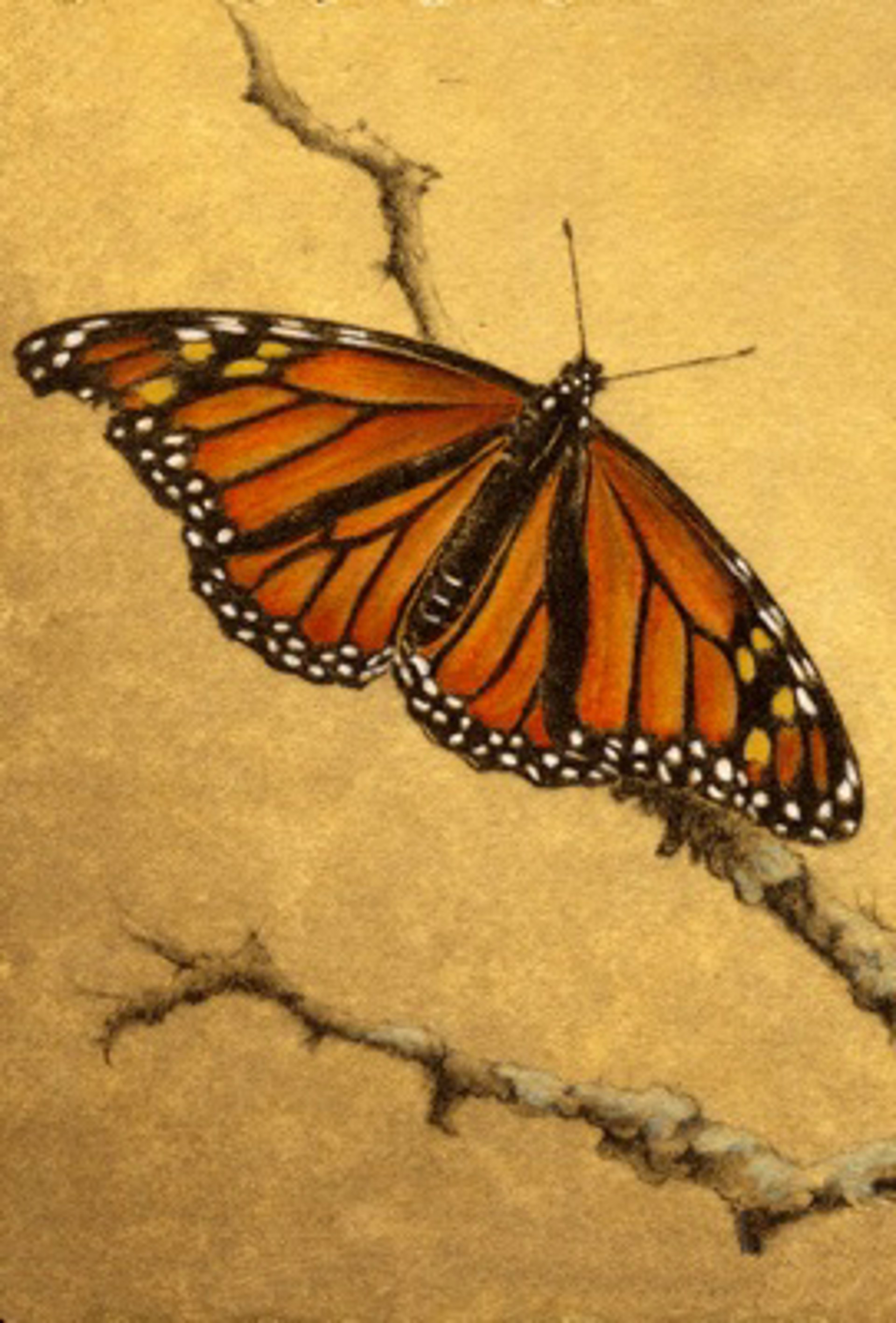 Monarch - unframed, #33/100 by Melanie Fain