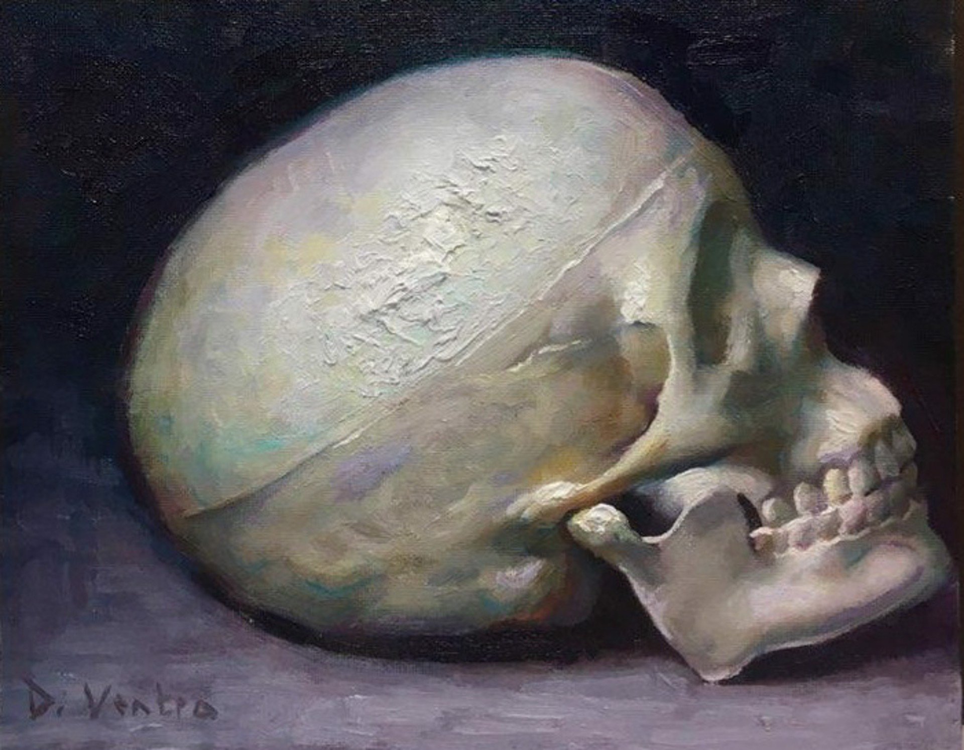 Bedside Skull by Matteo Di Ventra