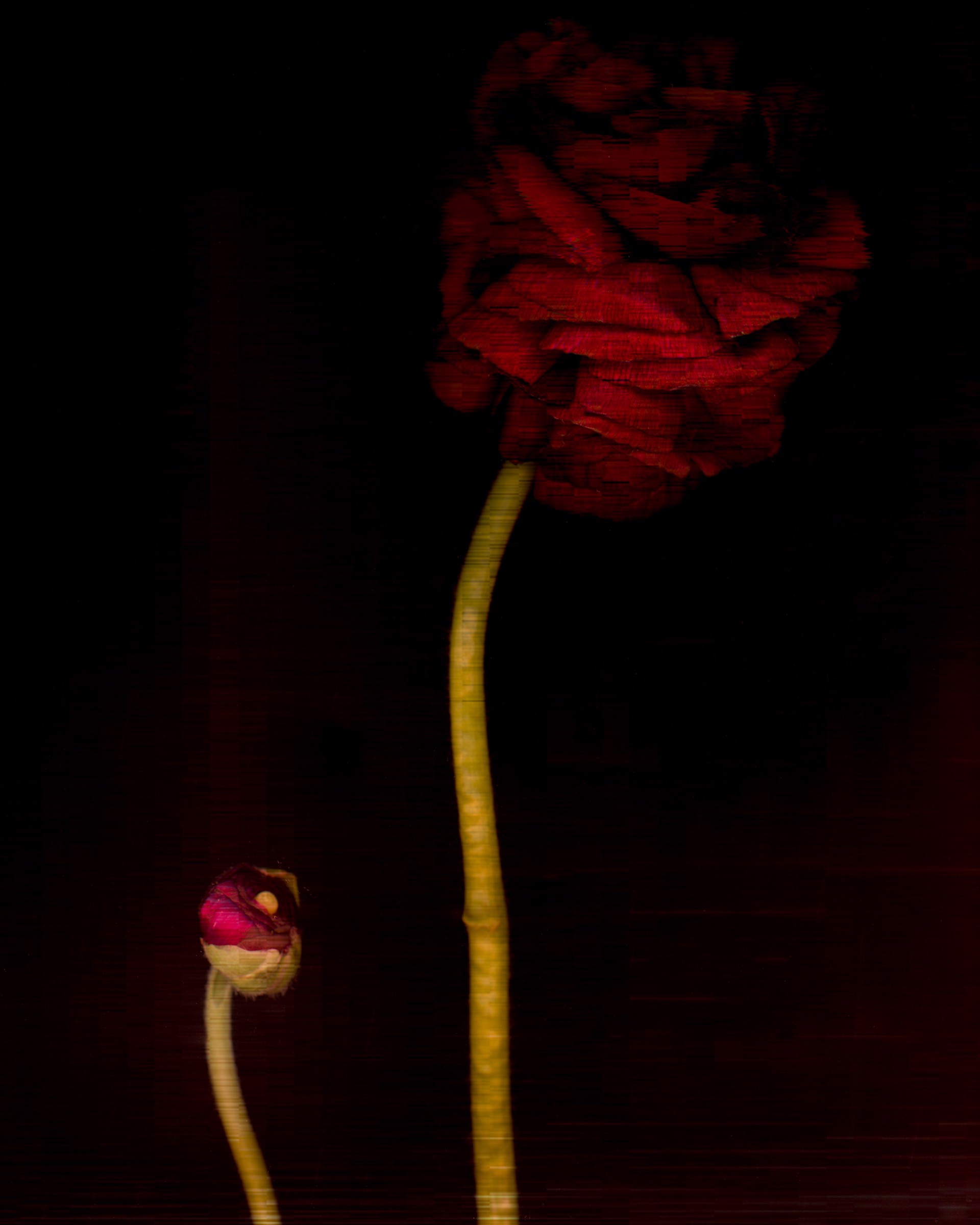 Solfeggio 2 by Jennifer Pritchard