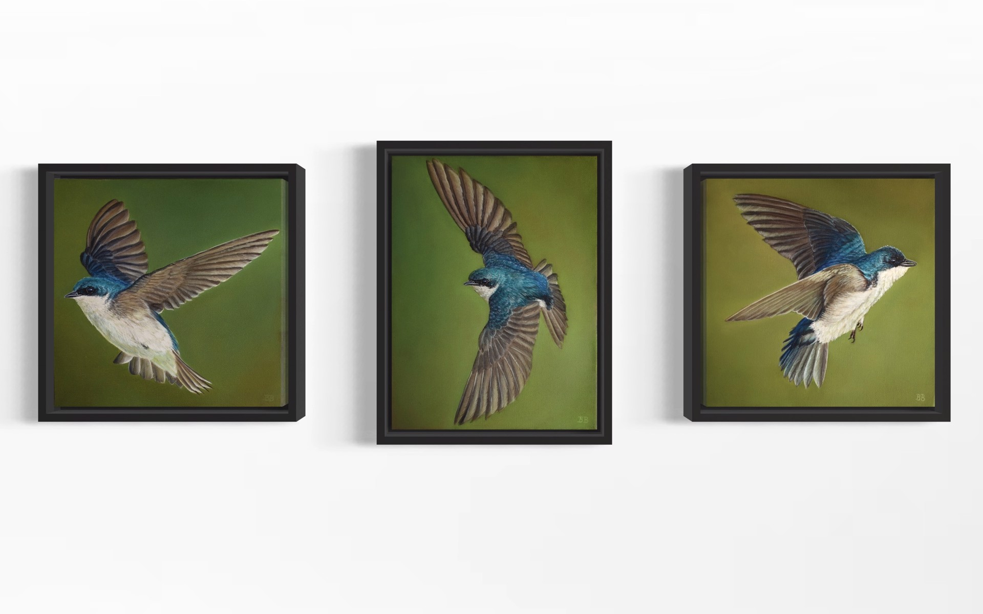 Two Tree Swallow by Bailey Burton