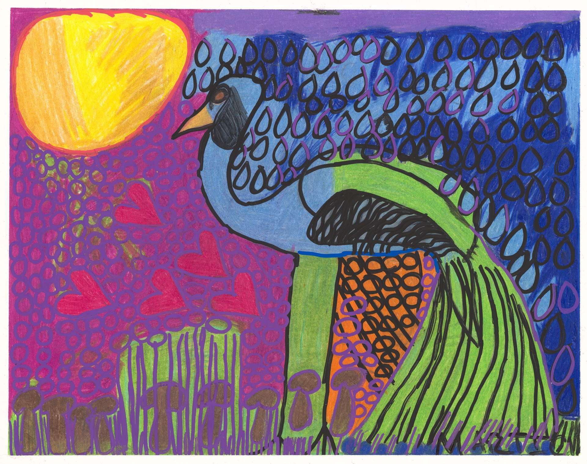 Indian Peacock by Marti Clark