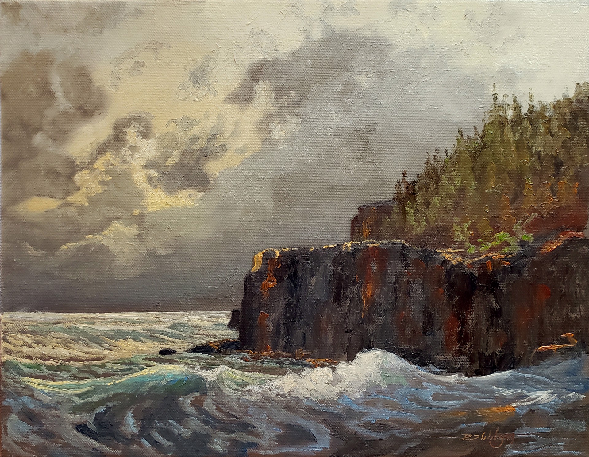 Otter Cliffs, Acadia by Rick Wilson