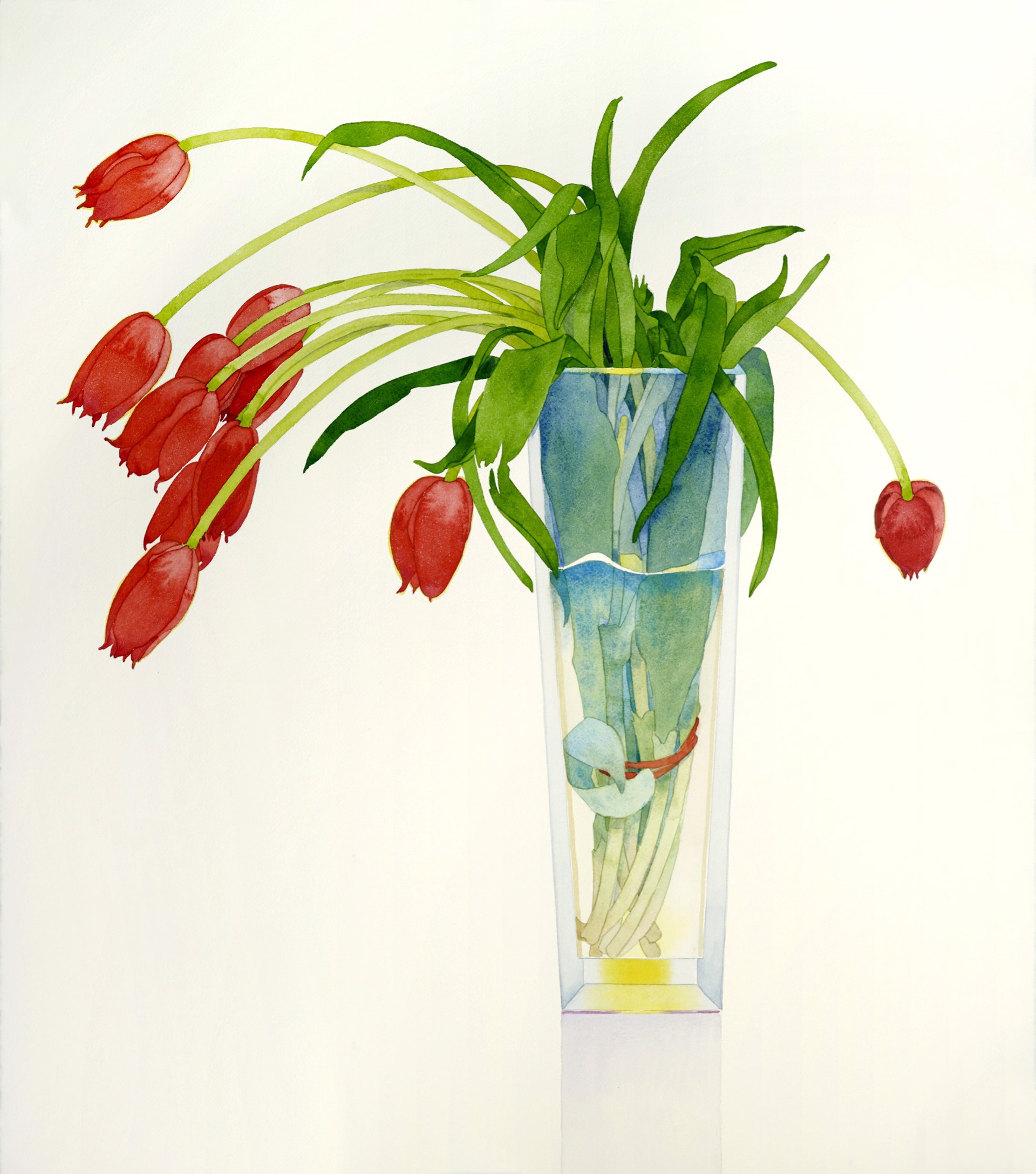 Red Tulips in a tall vase (unframed) by Gary Bukovnik