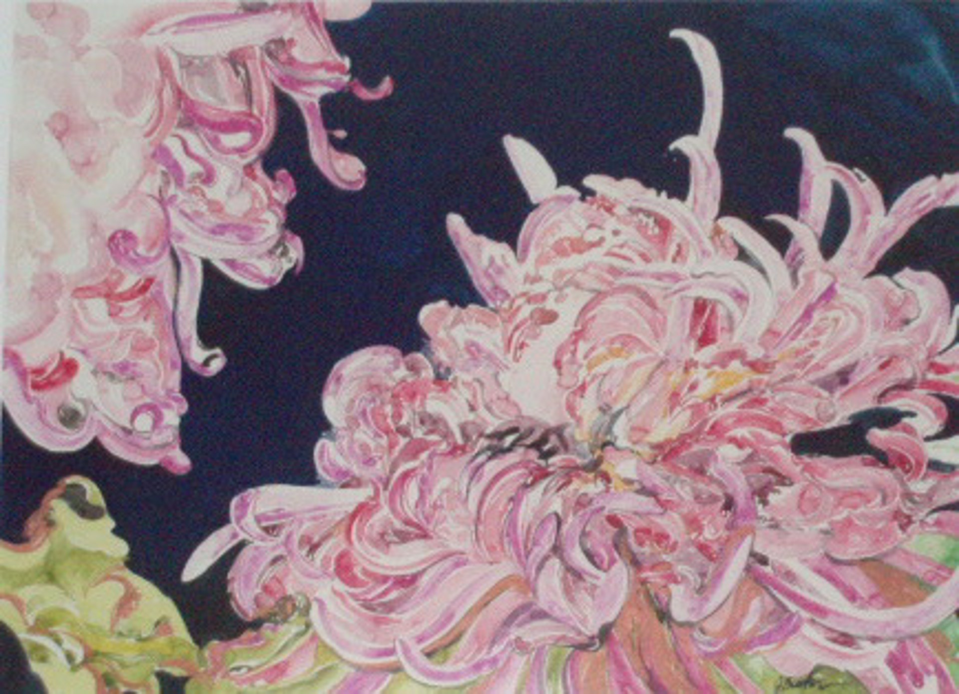 Chrysanthemums by John Bunker