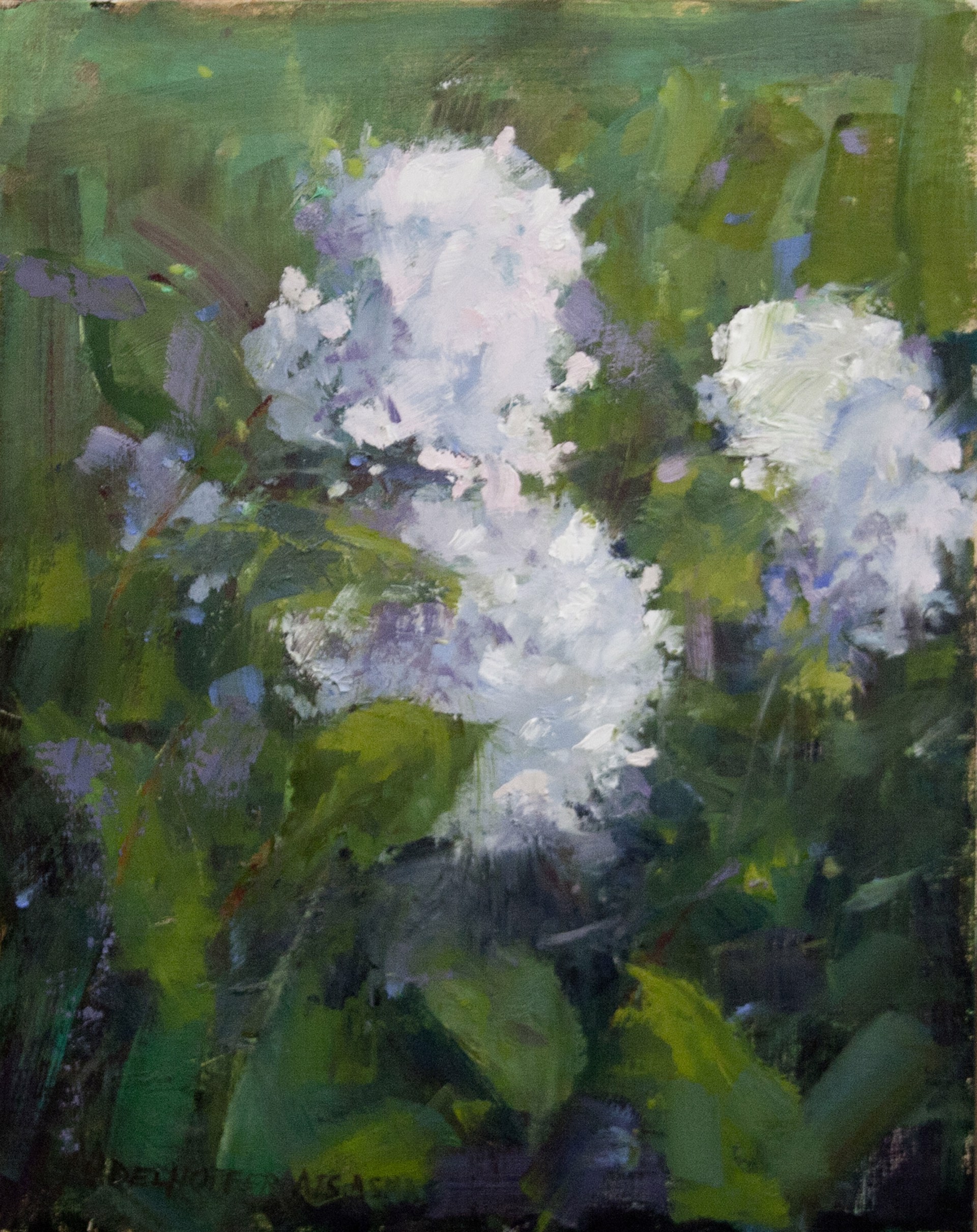 Full Bloom by Debra Nadelhoffer