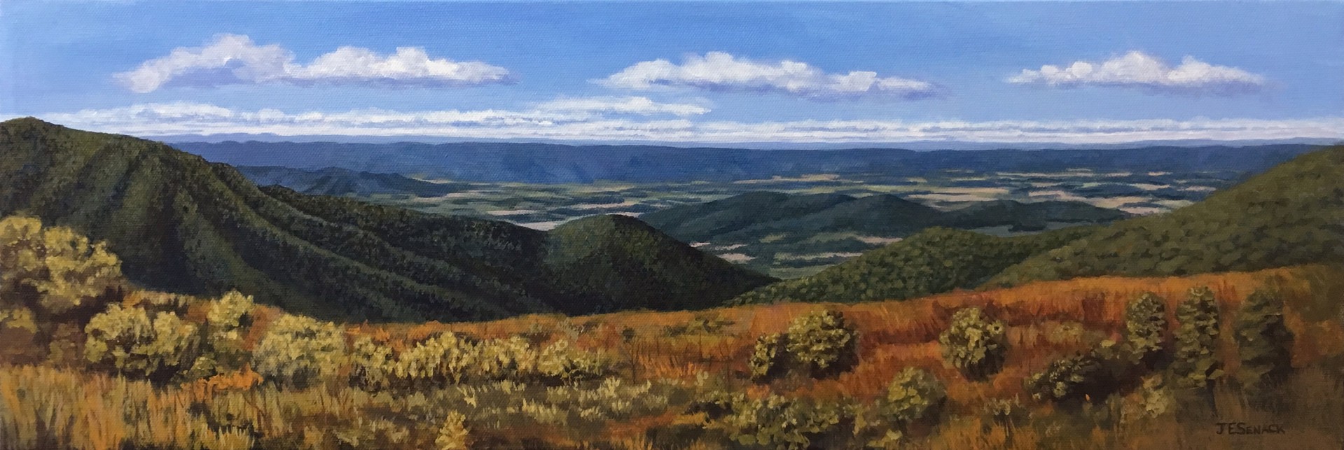 Shenandoah Valley by J.Elaine Senack
