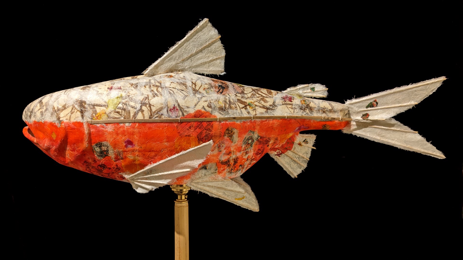 Grassy Back Salmon by Elaine Hanowell
