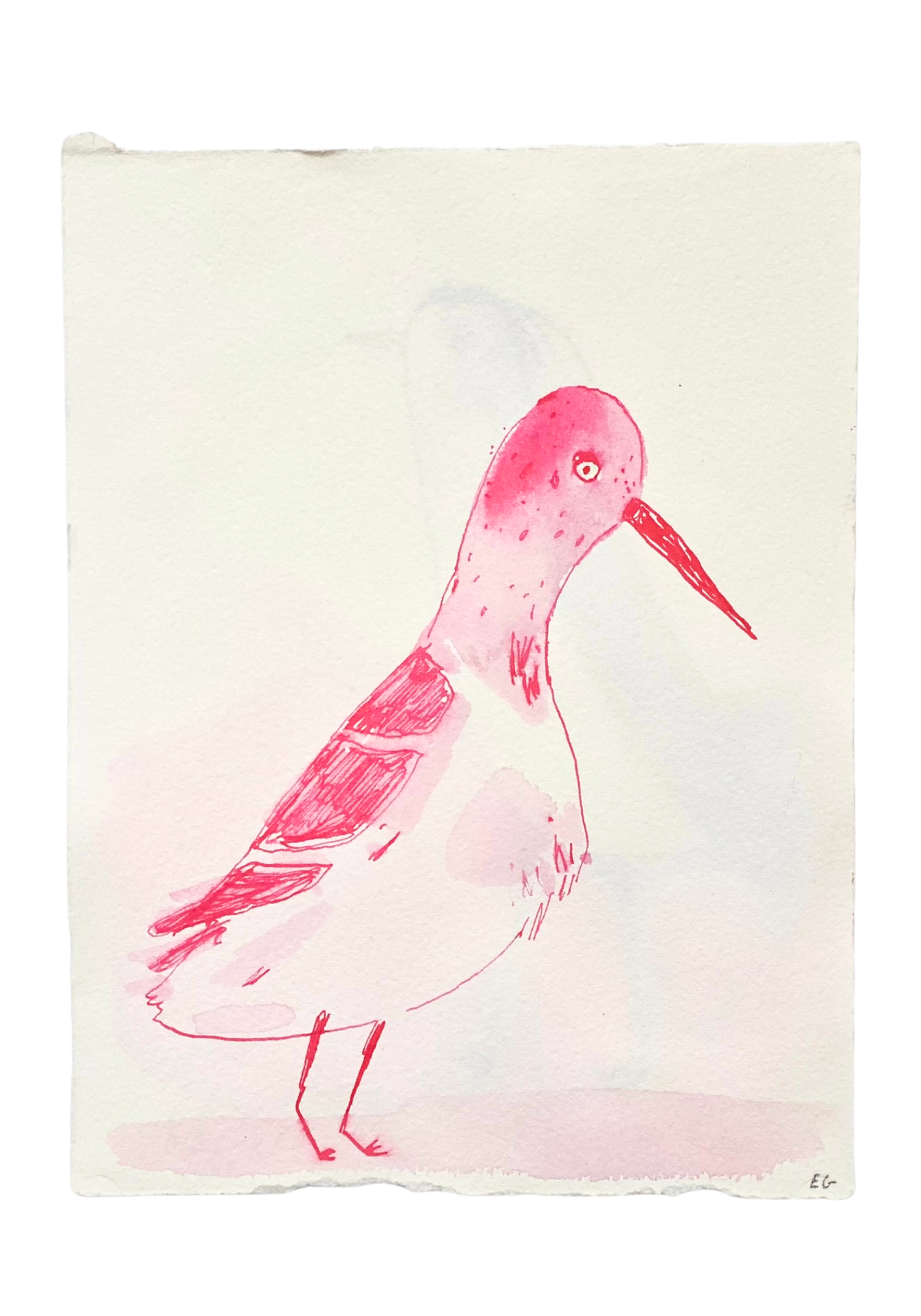 Pink Inkwash Bird #7 by ELIZABETH GRAEBER