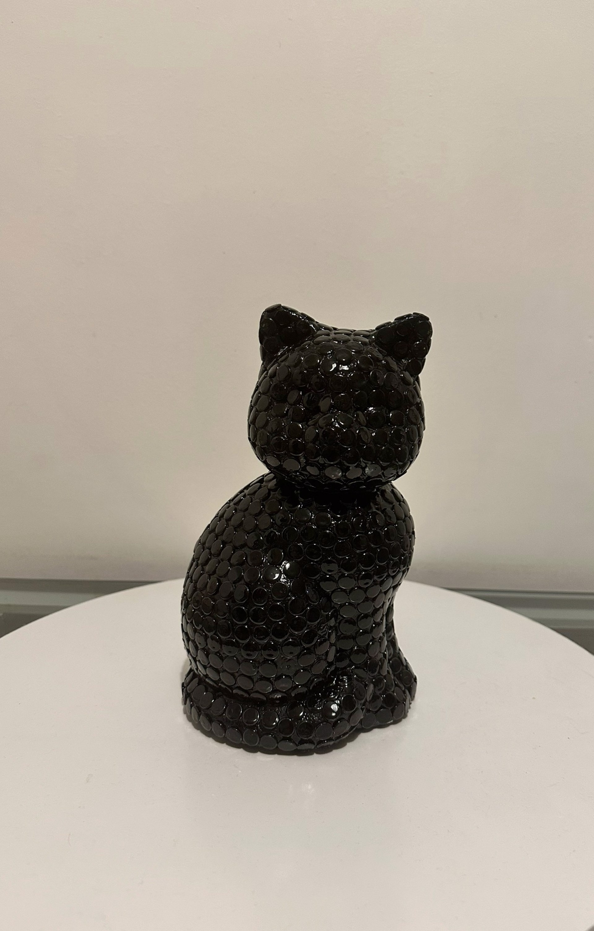 Felix The Black Cat by Alessandra Pierelli