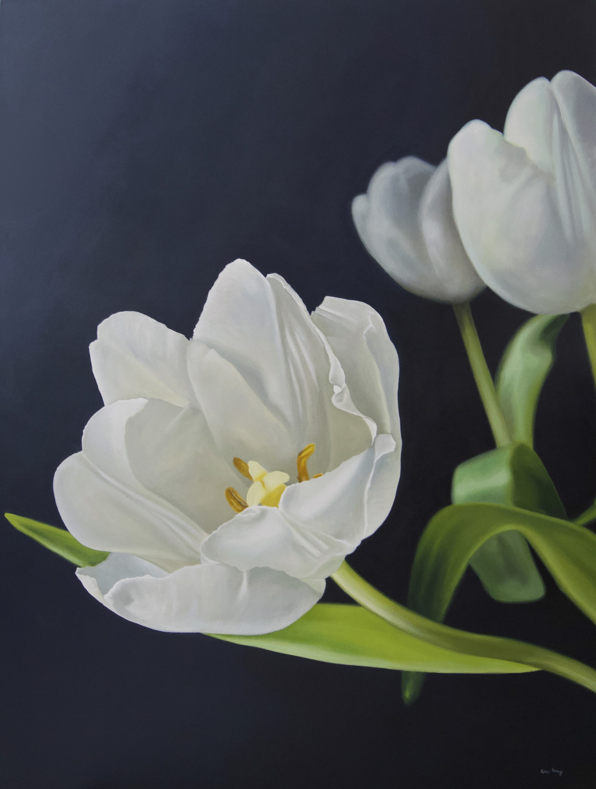 Tulip's Greeting by Katie Koenig