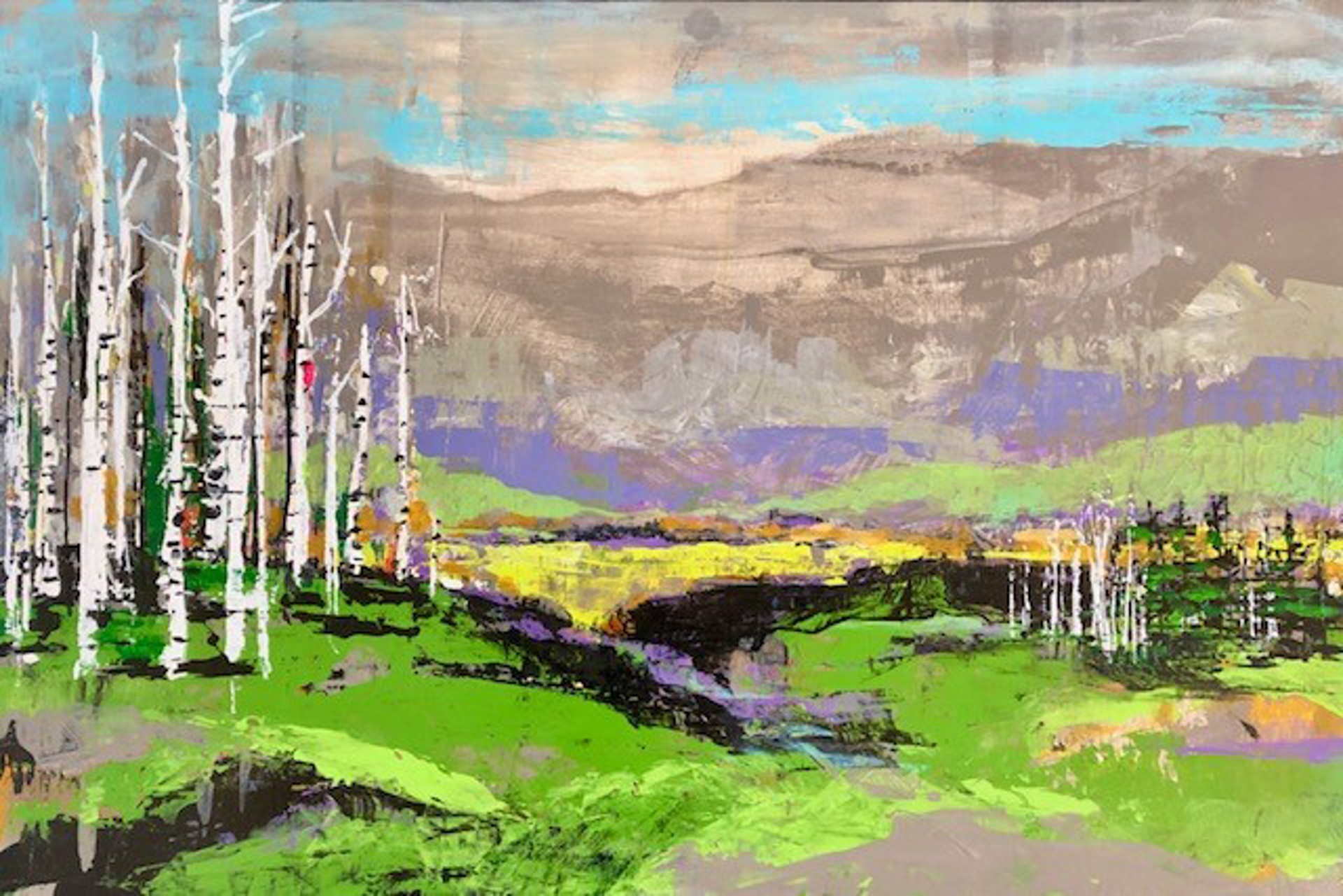The Green Valley by Cheryl Zahniser