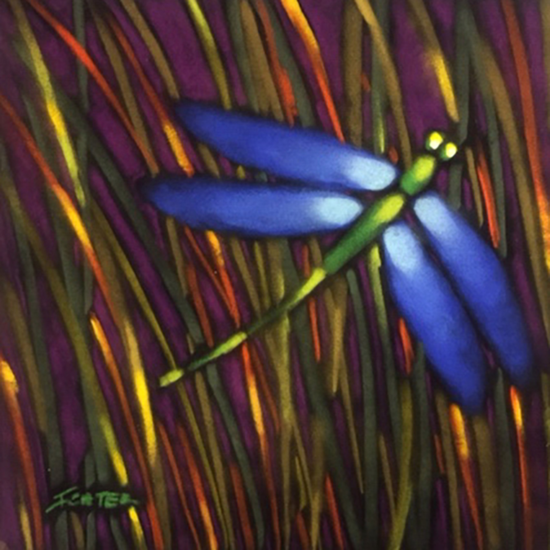 Dragonfly Purple/Royal by Bob Ichter