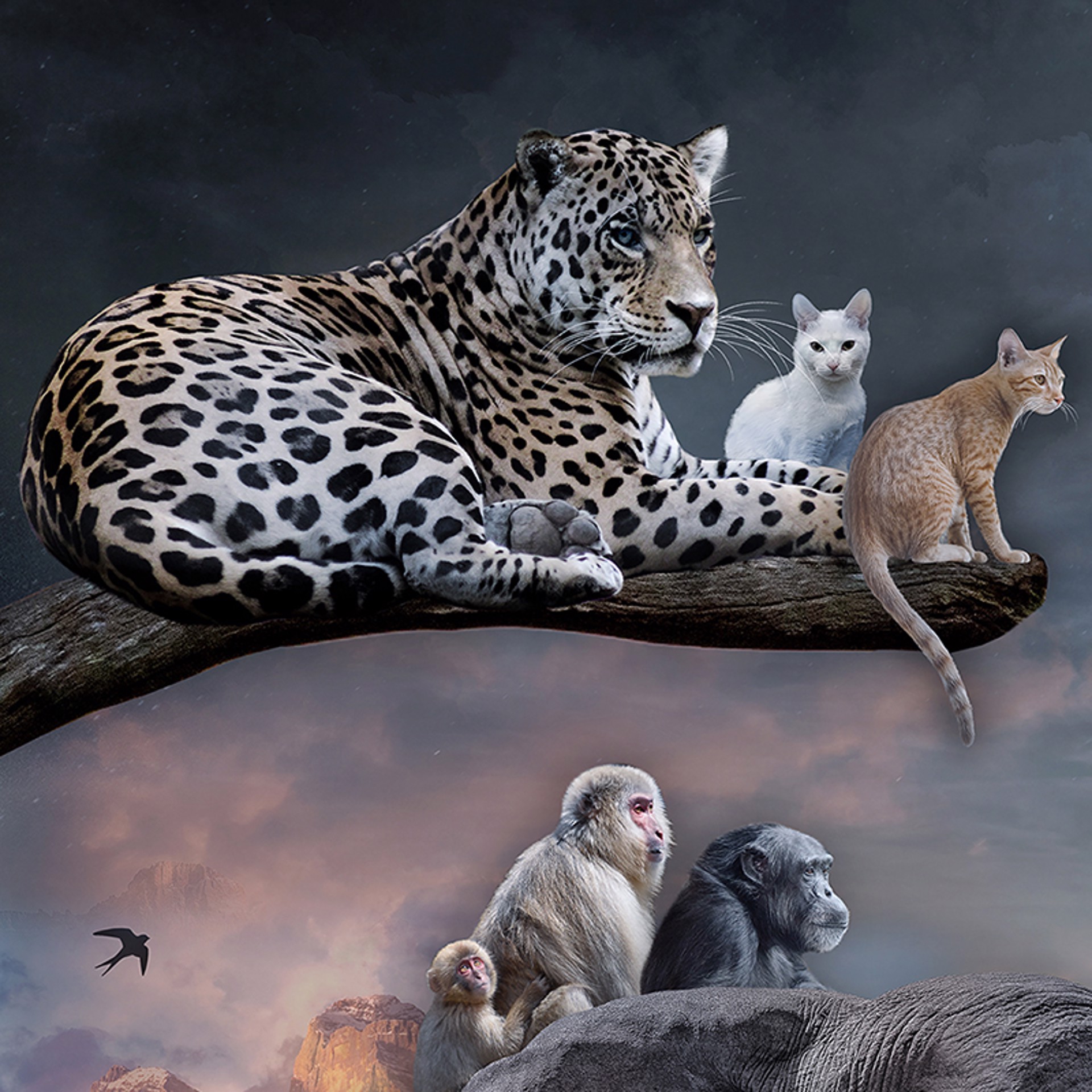 Protectors of the Wild Hearts by Marcin Owczarek