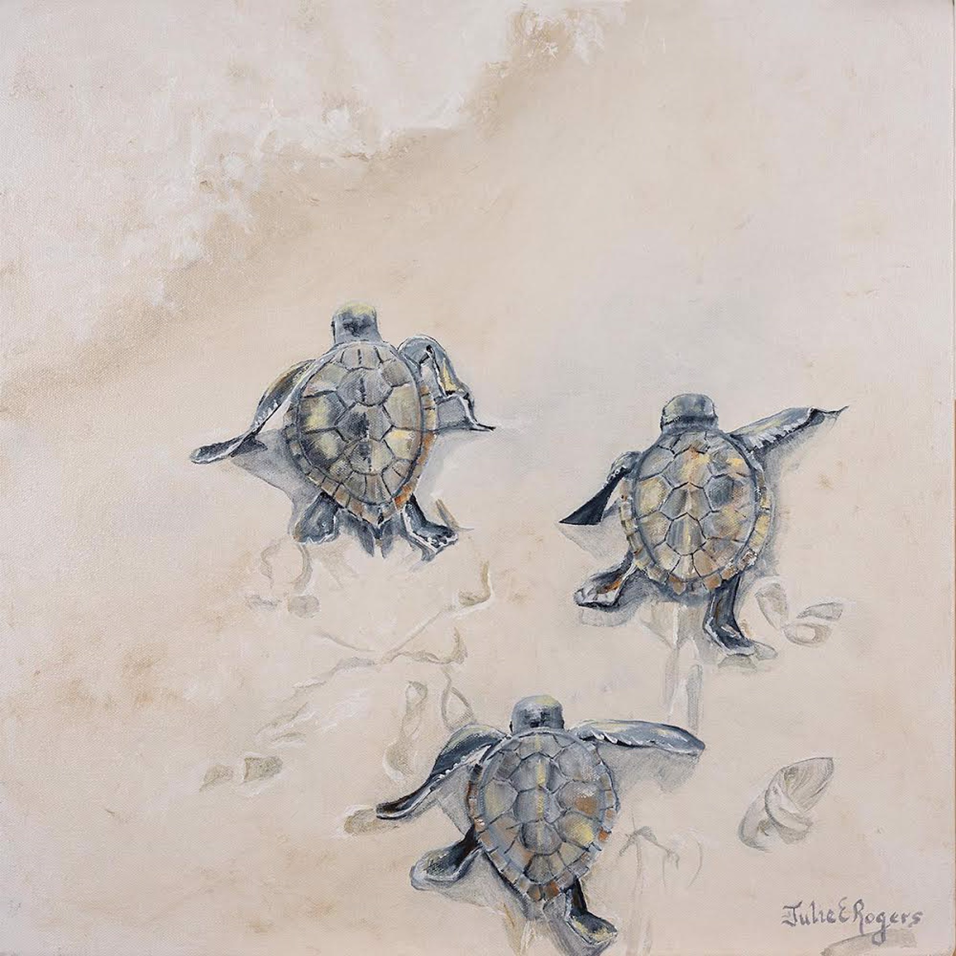 Turtle Tracks by Julie Rogers