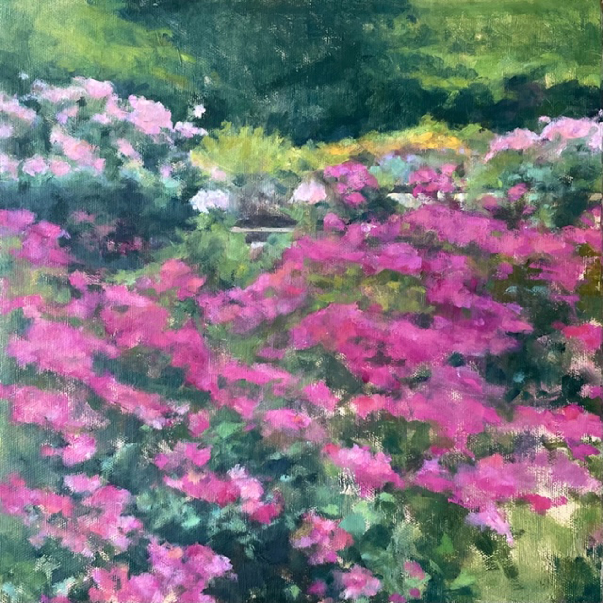 In Bloom: Louise Cochrane Rose Garden by Gail Henning Kiester
