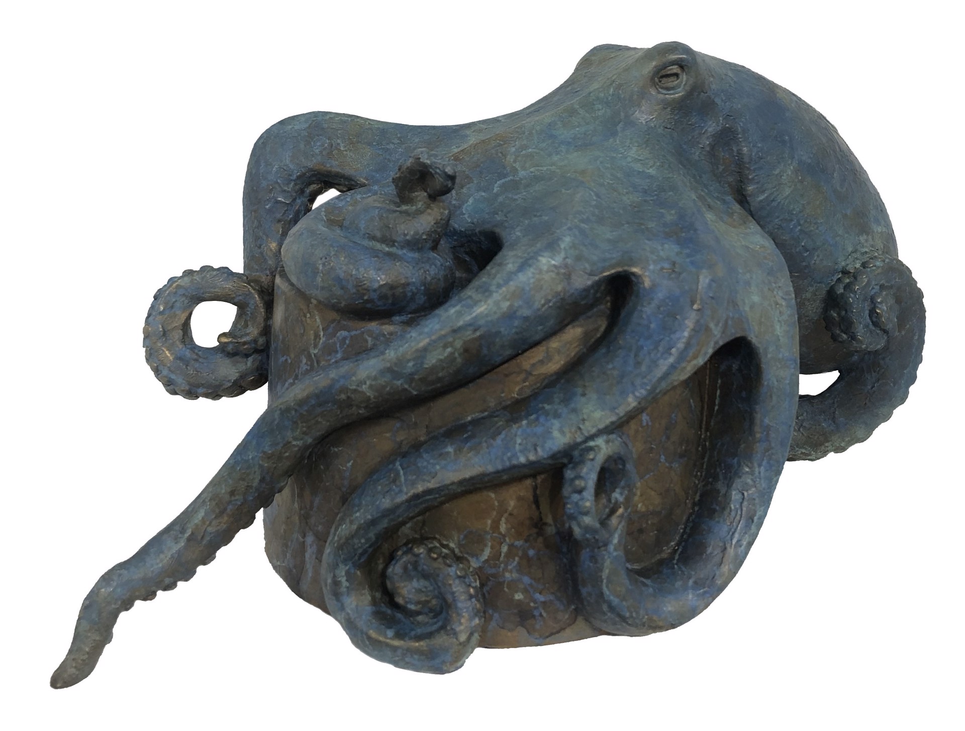A Contemporary Bronze Depicting An Octopus Cradling A Cylindrical Shape With A Blue Textured Patina By Kristine Taylor At Gallery Wild
