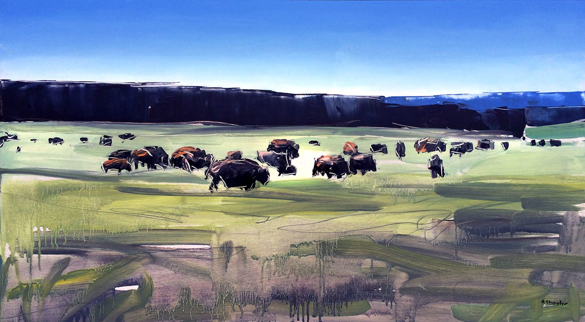 Buffalo Herd Yellowstone, WY by David Shingler