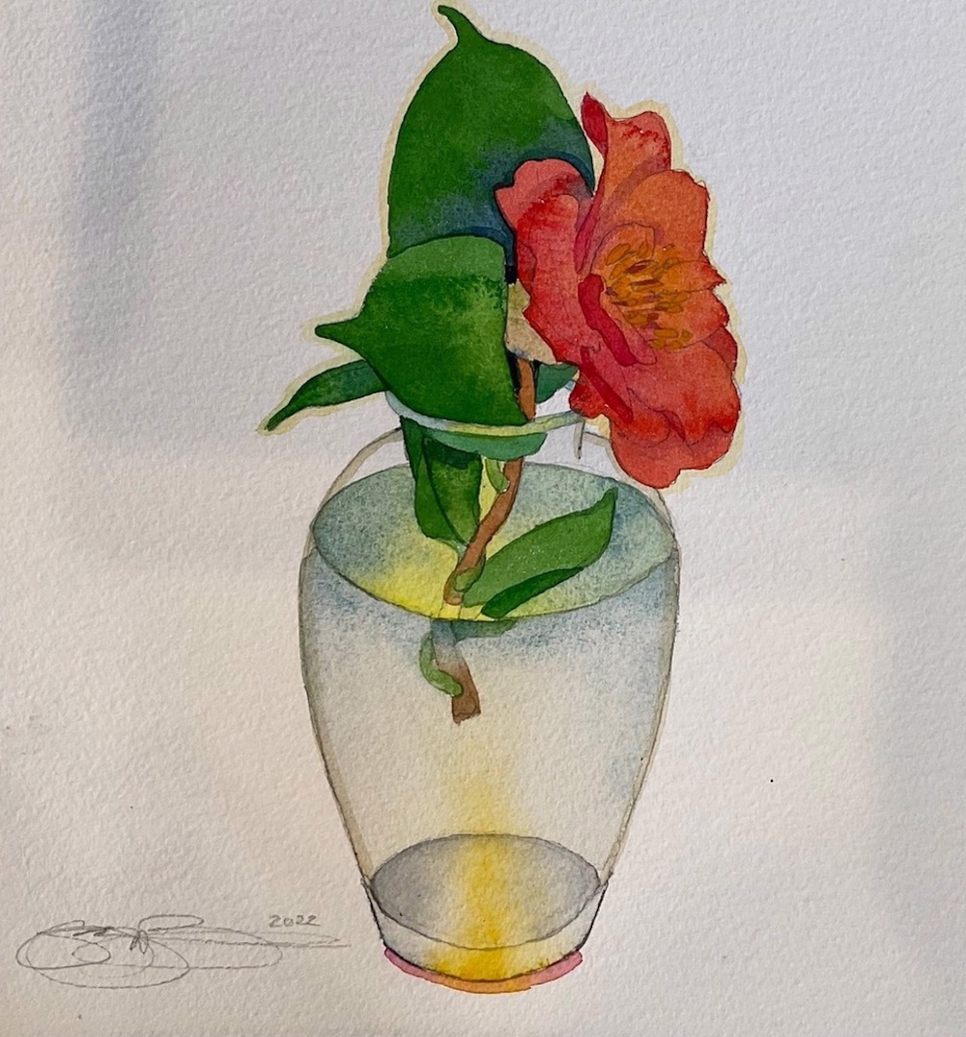Camellia Study no. 2 by Gary Bukovnik
