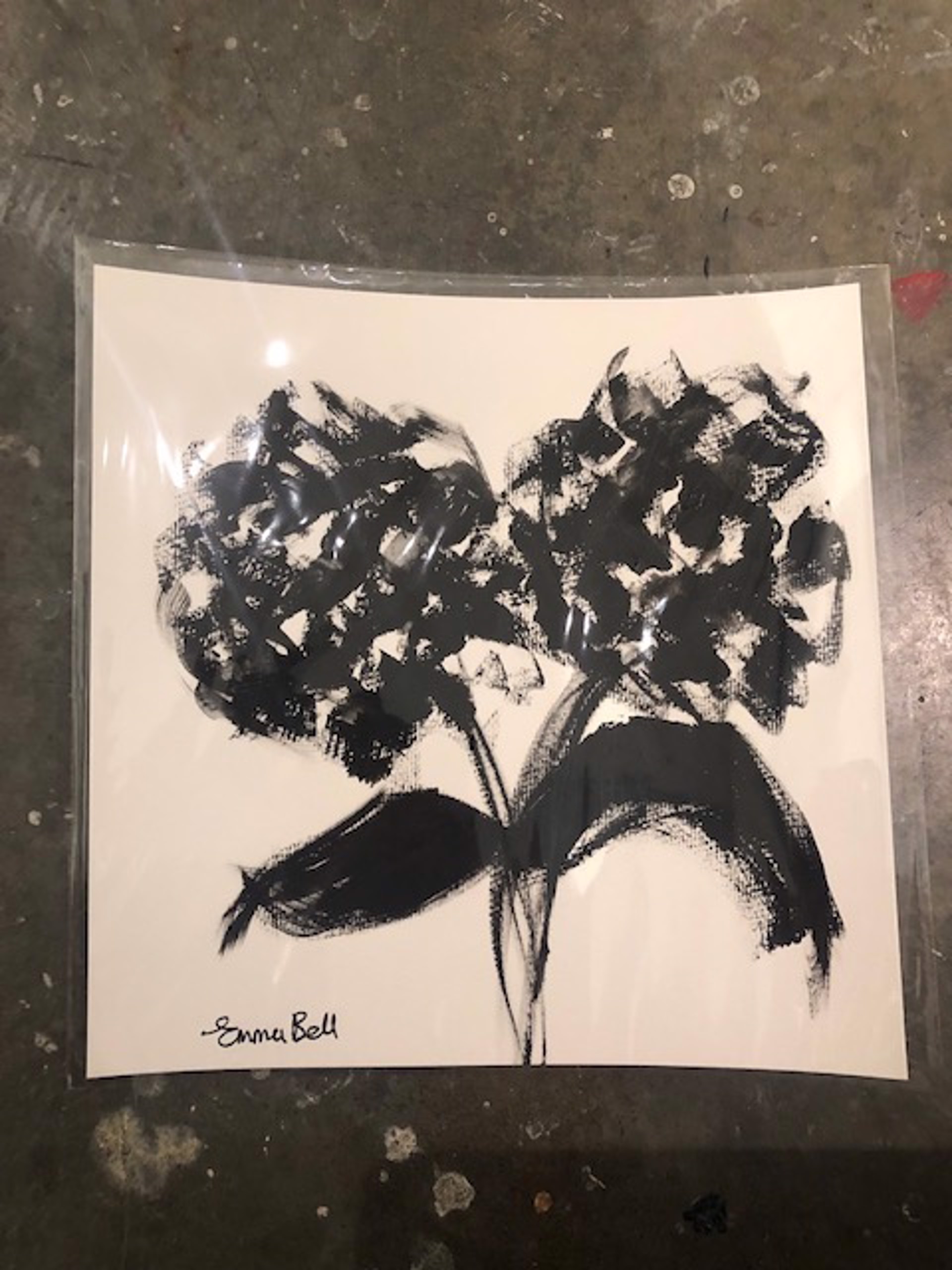 Black & White Two Hydrangeas by Emma Bell