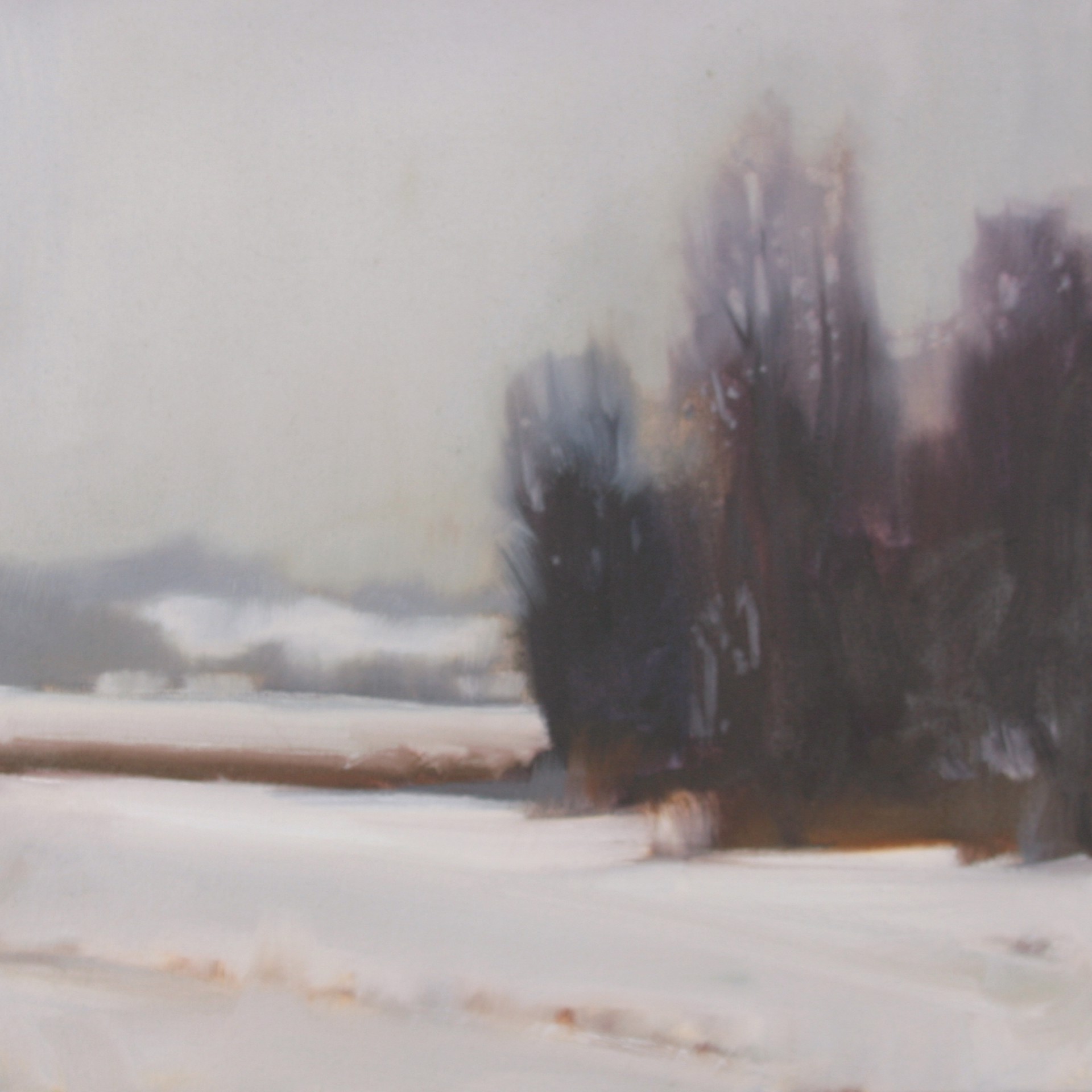 Winter Grove (Study) by Megan Lightell