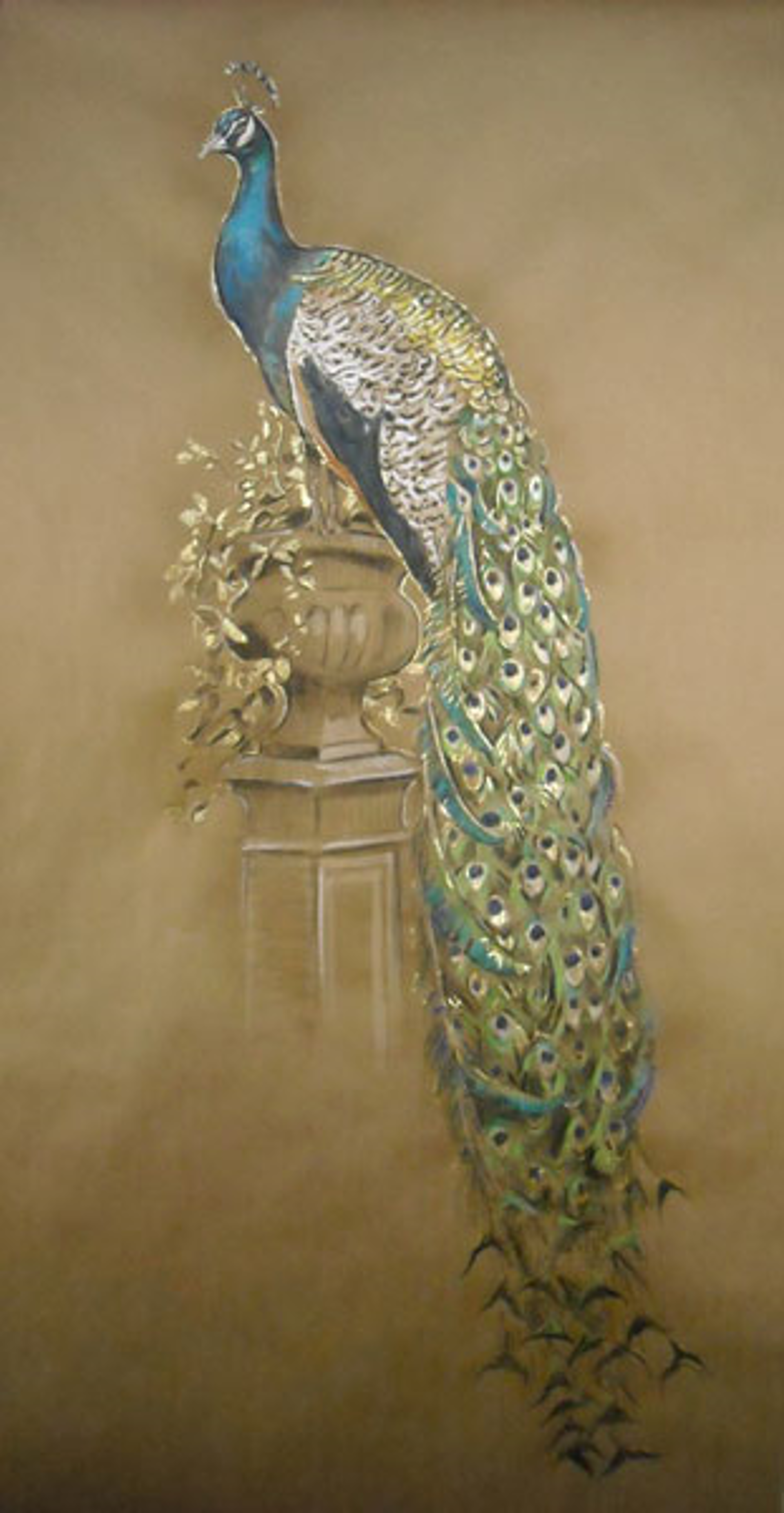 Peacock by Chad Barrett
