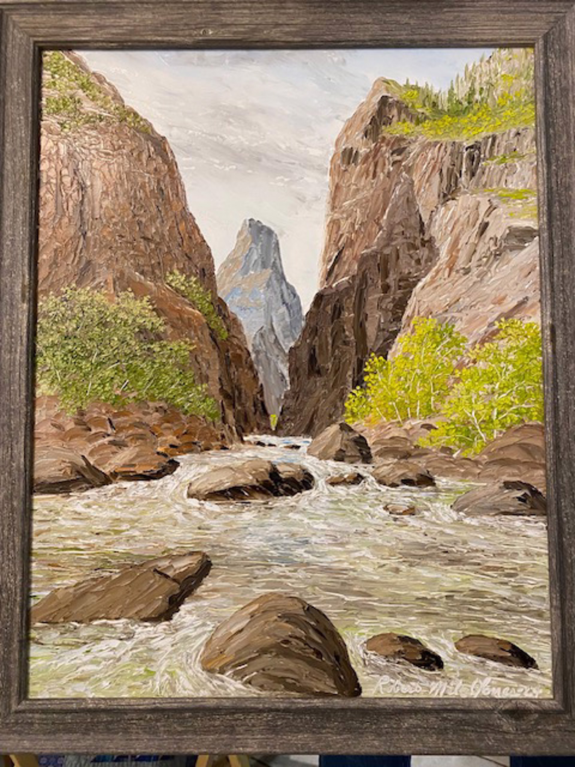 Gunnison River by Robert Milo Jones