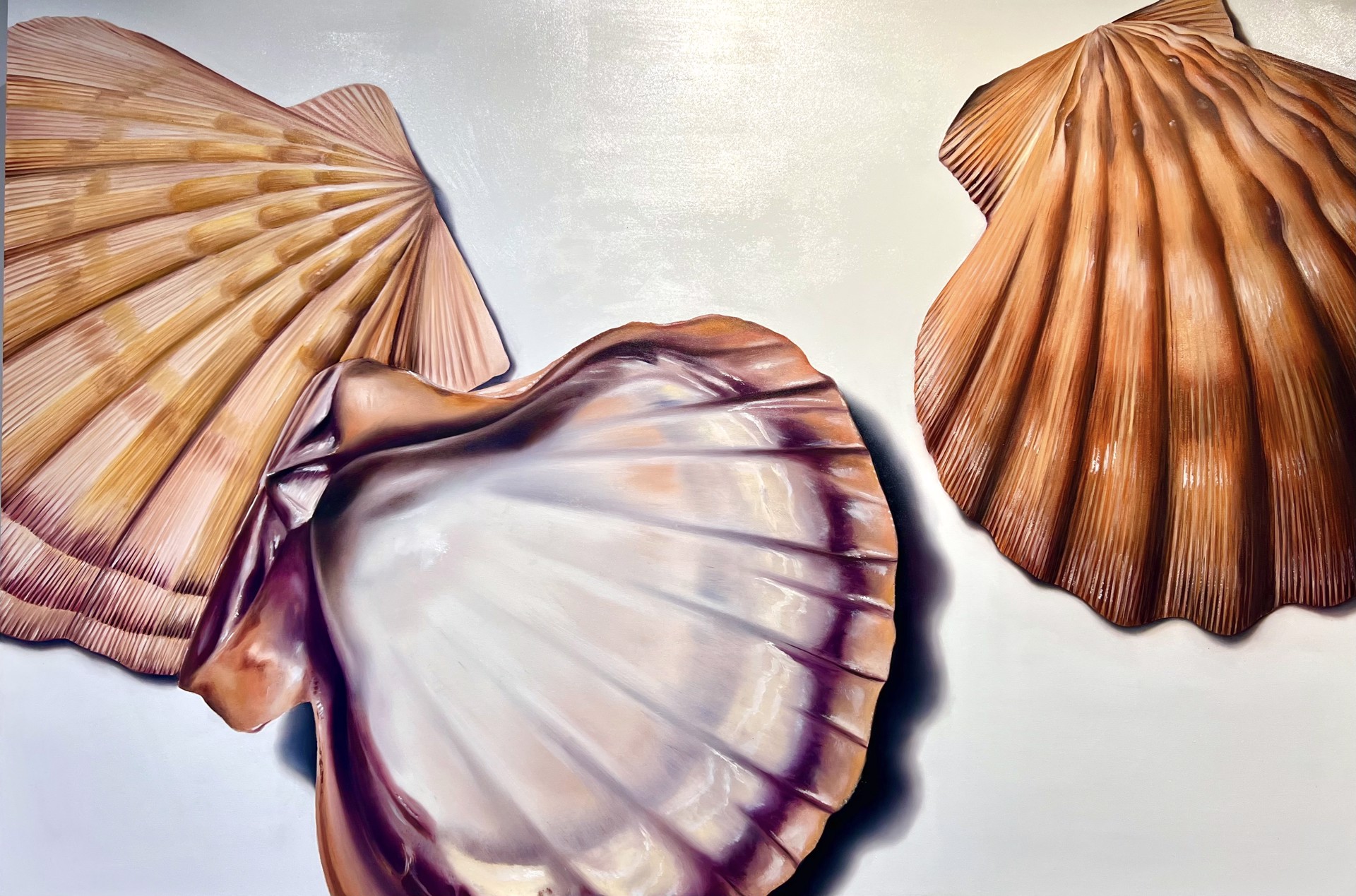 Sunset Colored Scallops by Renee Levin