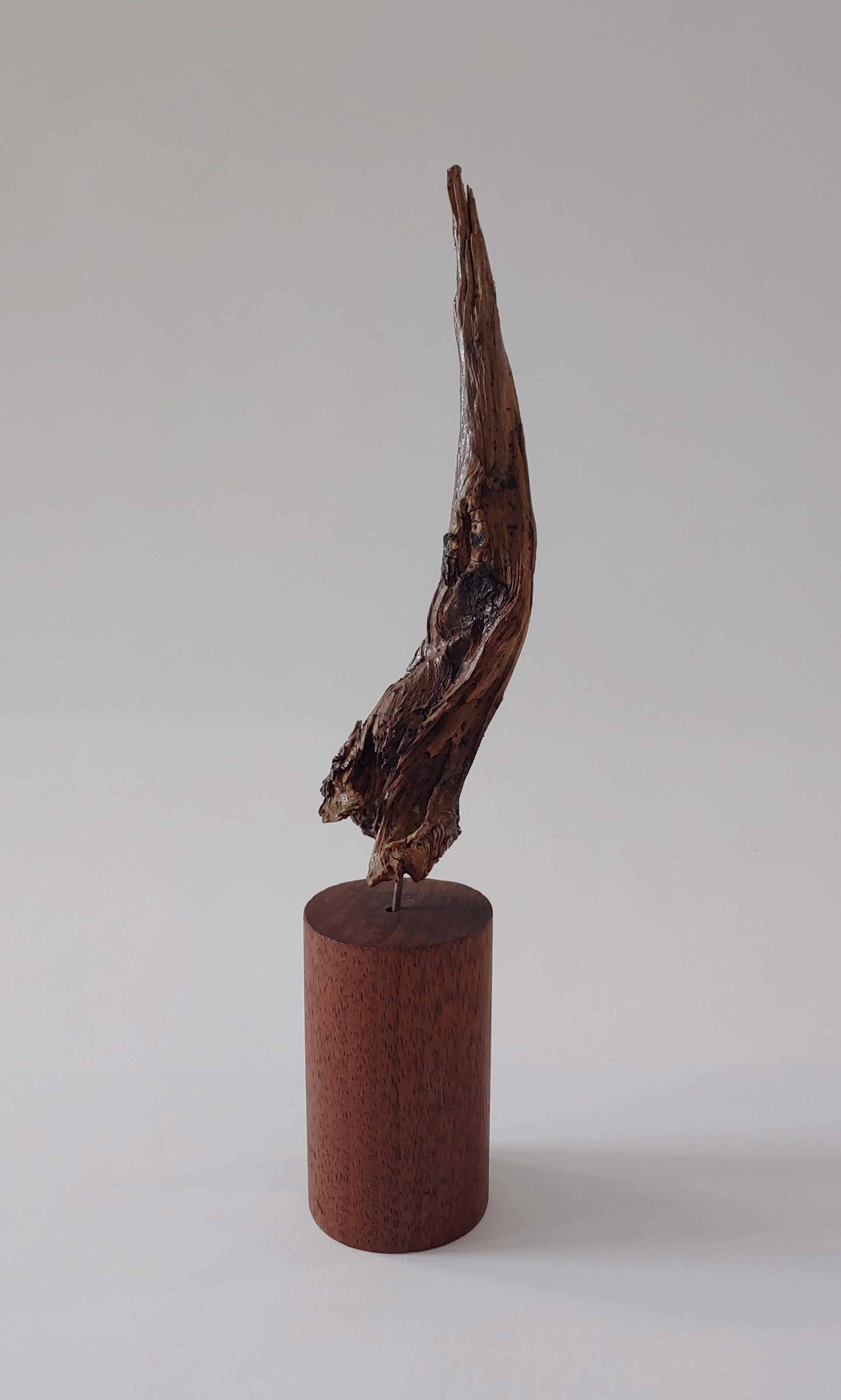 Abstract #2 - Wood Sculpture by David Amdur