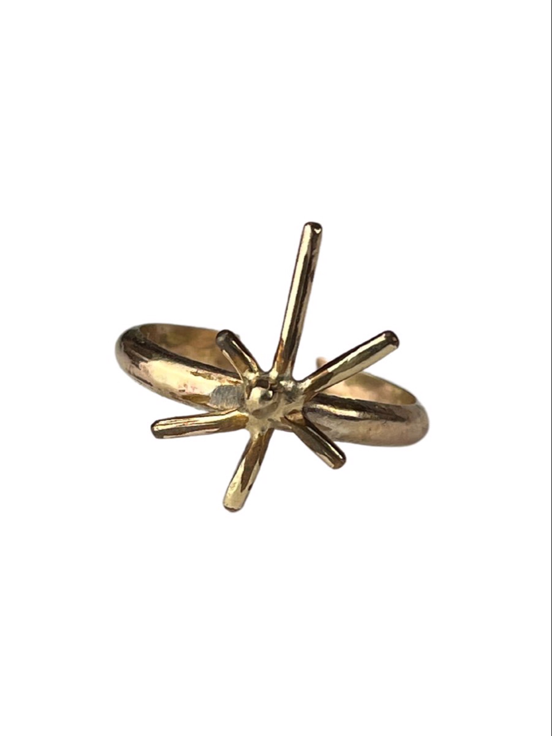 Gold Fill Ring by Nola Smodic