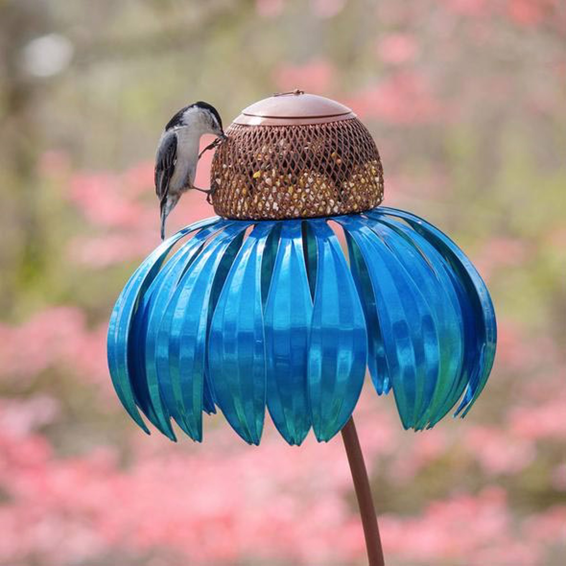 Blue Cone Flower Bird Feeder by Desert Steel